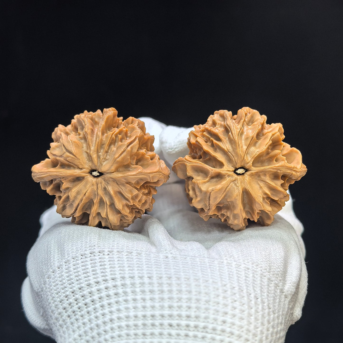 "Lantern Lionhead" Denglong Shizitou Classic Heritage Wenwan Walnuts Pair | 41.0mm x 39.0mm | DL-1501C