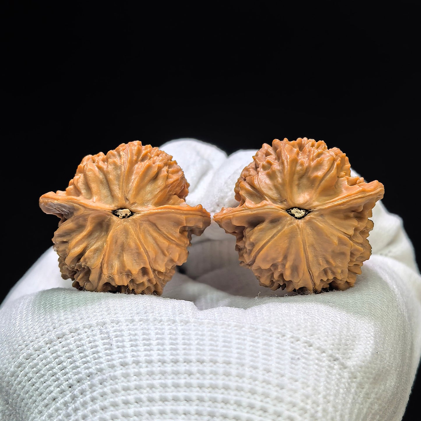 "Mini Phoenix Tail" Xiuzhen Fengwei XZFW-1601 Low-Profile Pocket Wenwan Walnuts Pair | 32.0mm x 31.0mm | XZFW-1601