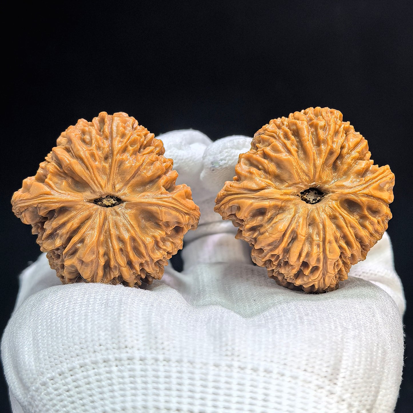 "Triangular Concave Base Nanjiang Stone" Aodi NJS-1507C Low-Profile Wenwan Walnuts Pair | 41.0mm x 41.0mm | NJS-1507C