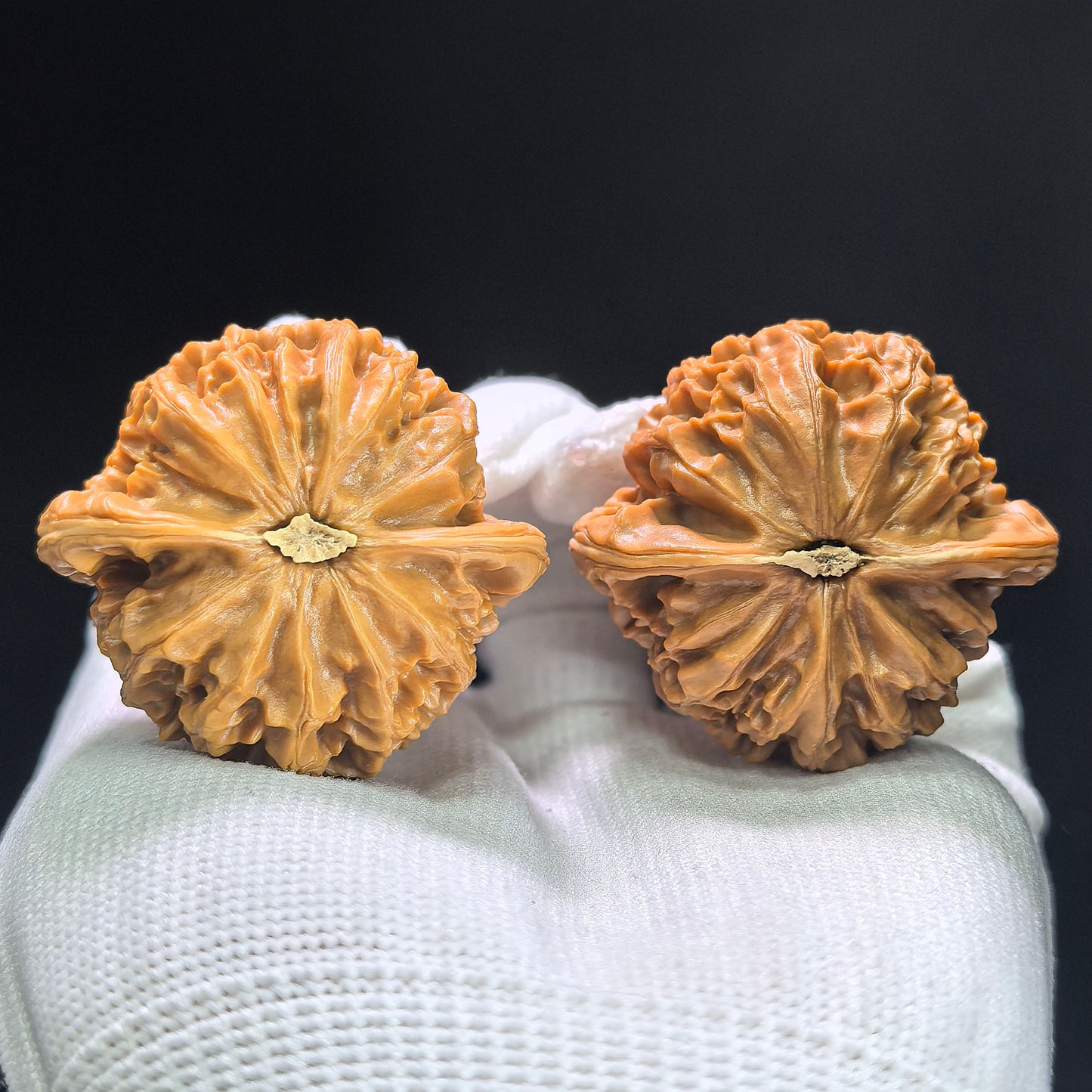 "Palace Lantern" Gongdeng Wenwan Walnuts Pair | 41.0mm x 38.0mm | GD-1404