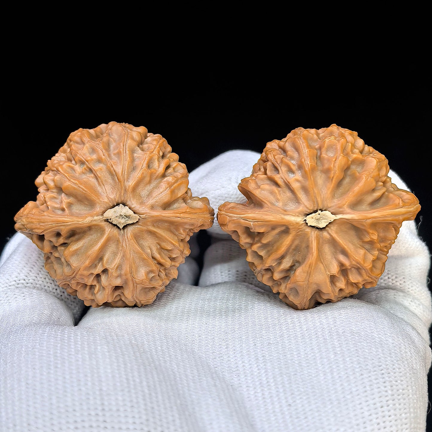 "Palace Lantern" Gongdeng GD-17E6 Low-Profile Wenwan Walnuts Pair | 42.0mm x 40.0mm | GD-17E6