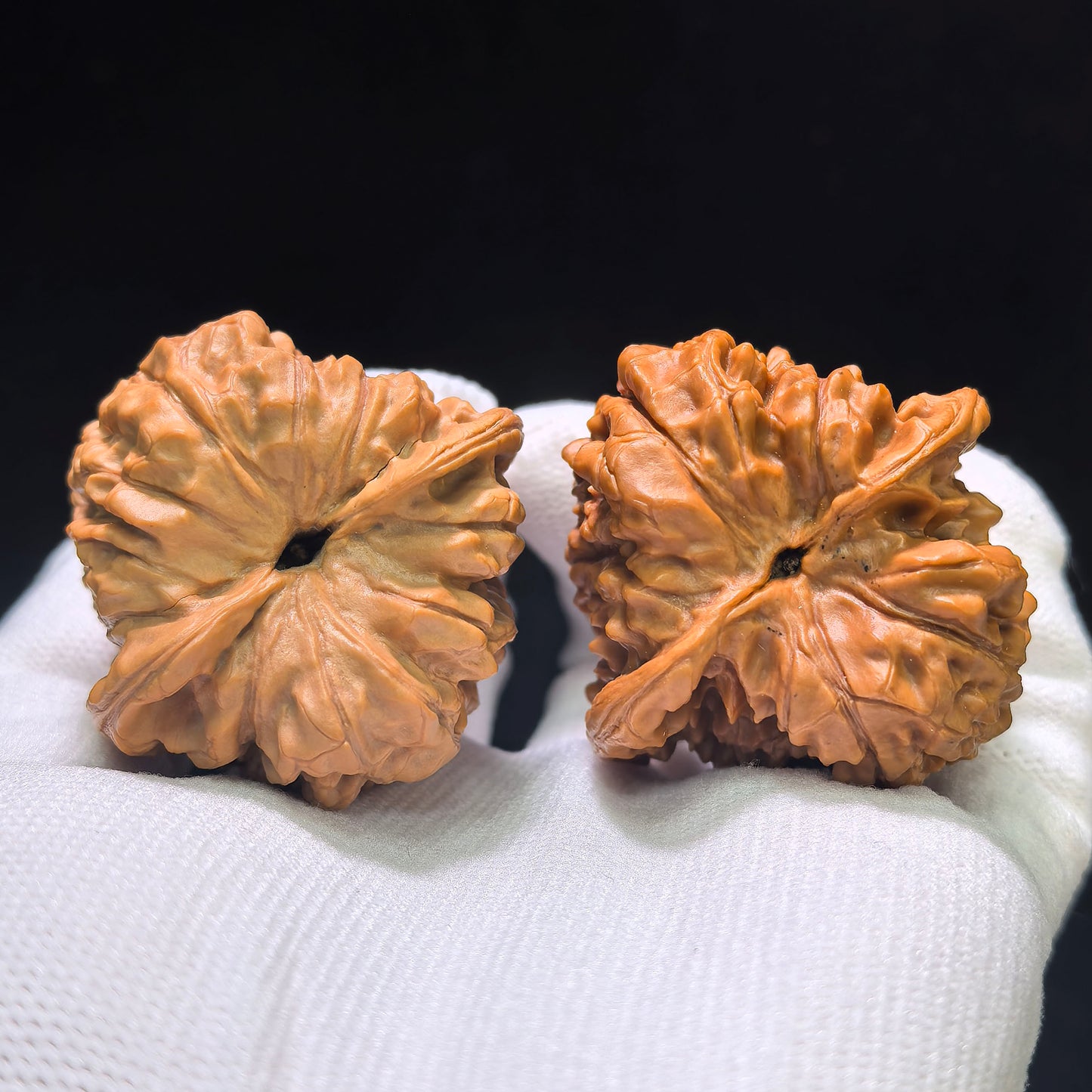"Kylin Texture Vulture" Qilinwen Zuoshandiao Wenwan Walnuts Pair | 43.0mm x 42.0mm | QLWZSD-CG217E