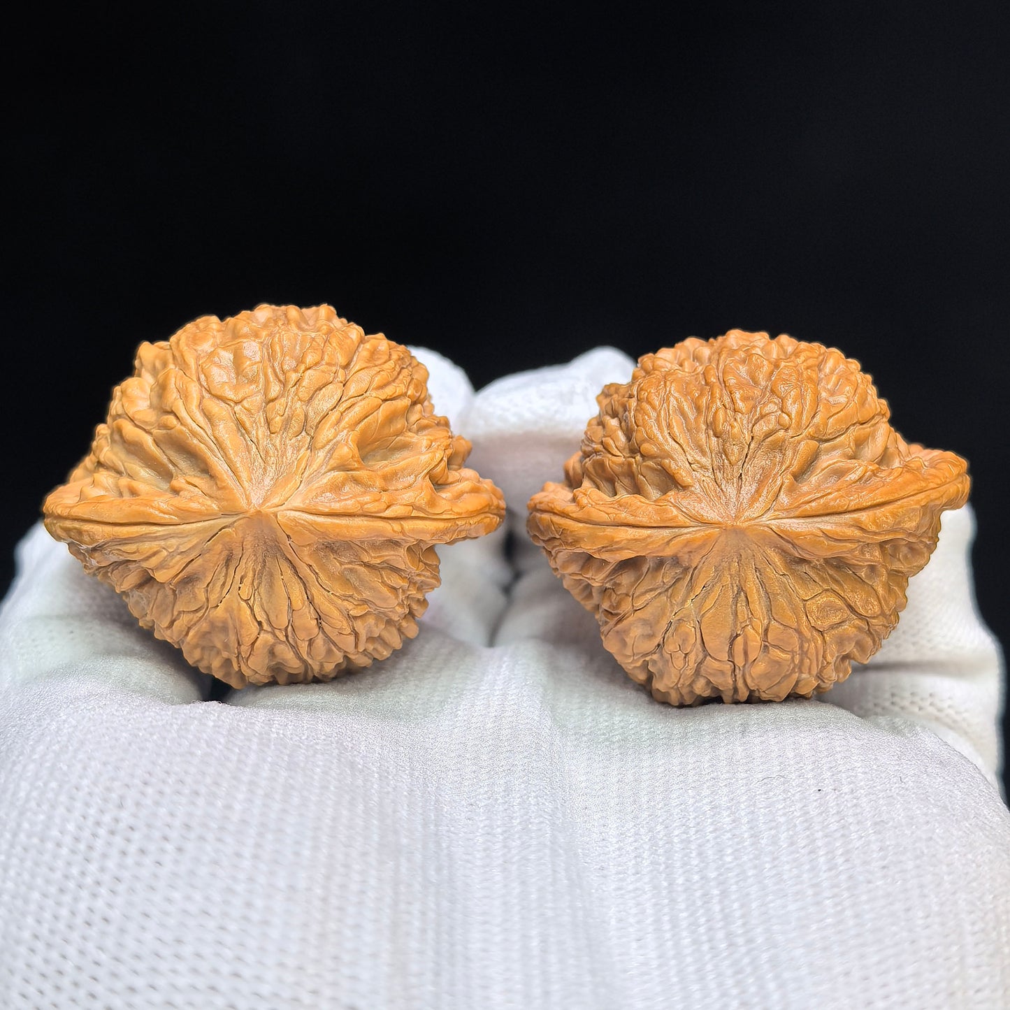 "Hydrangea" Xiuqiu Wenwan Walnuts Pair | 41.0mm x 34.0mm | XQ-101SY