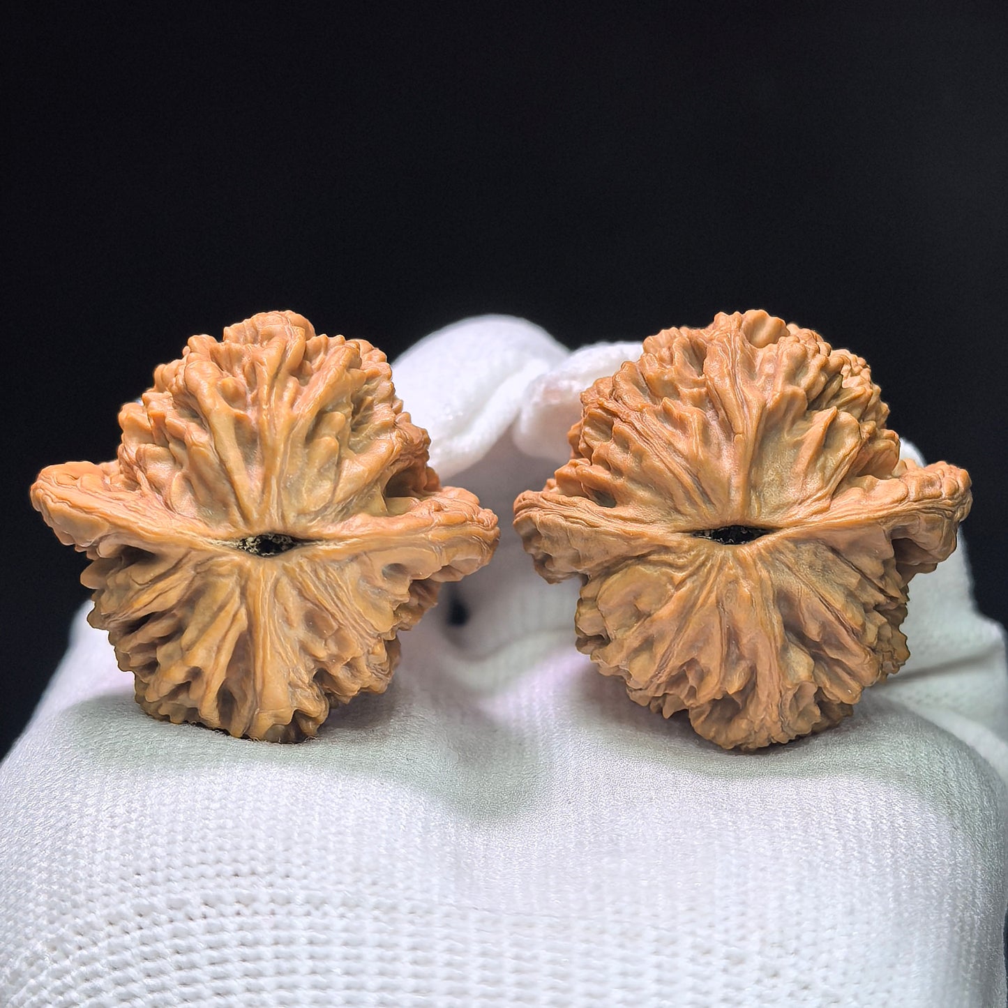"Wheat Ear Tigerhead" Maisui Hutou MSHT-1402 Low-Profile Wenwan Walnuts Pair | 38.0mm x 36.0mm | MSHT-1402