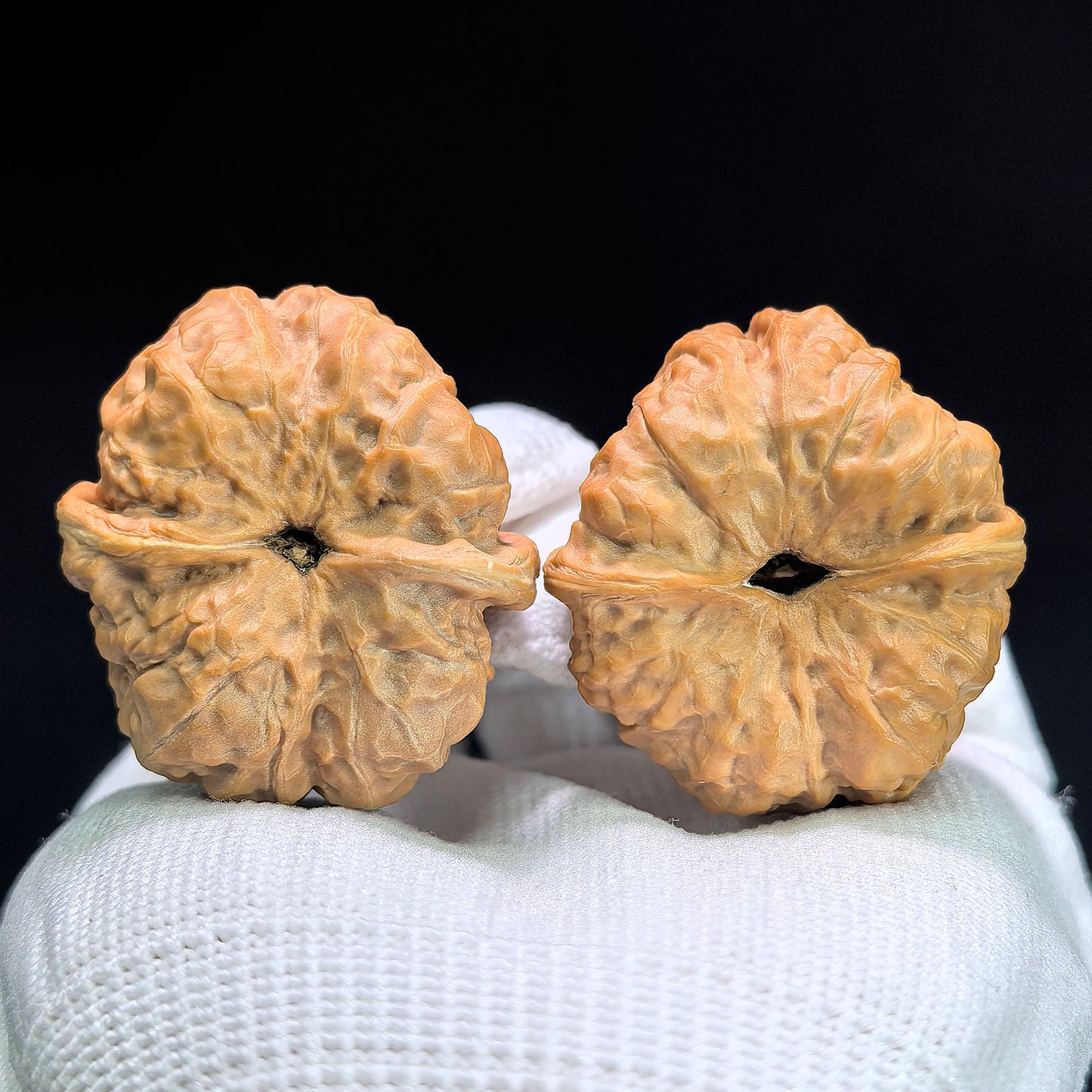 "Toad Head Crippled Foot" Hama Tou Tiancan Jiao W-1407 Low-Profile Wenwan Walnuts Pair | 38.0mm x 41.0mm | W-1407