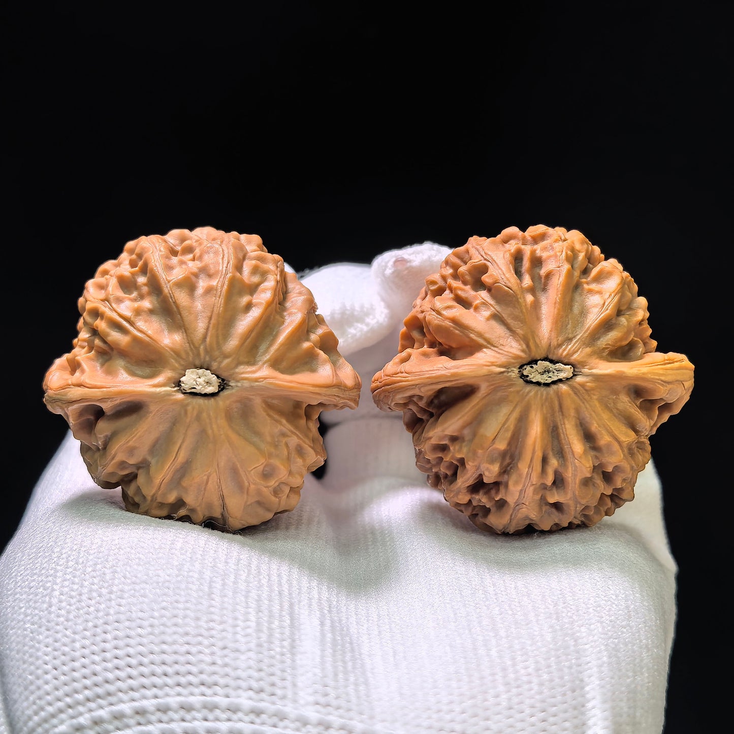 "Palace Lantern" (Gongdeng) Scholar Walnuts Pair | 42.0mm x 39.0mm | Classic Low-Profile Silhouette | Collector Grade Curation | Stock ID: GD-1101