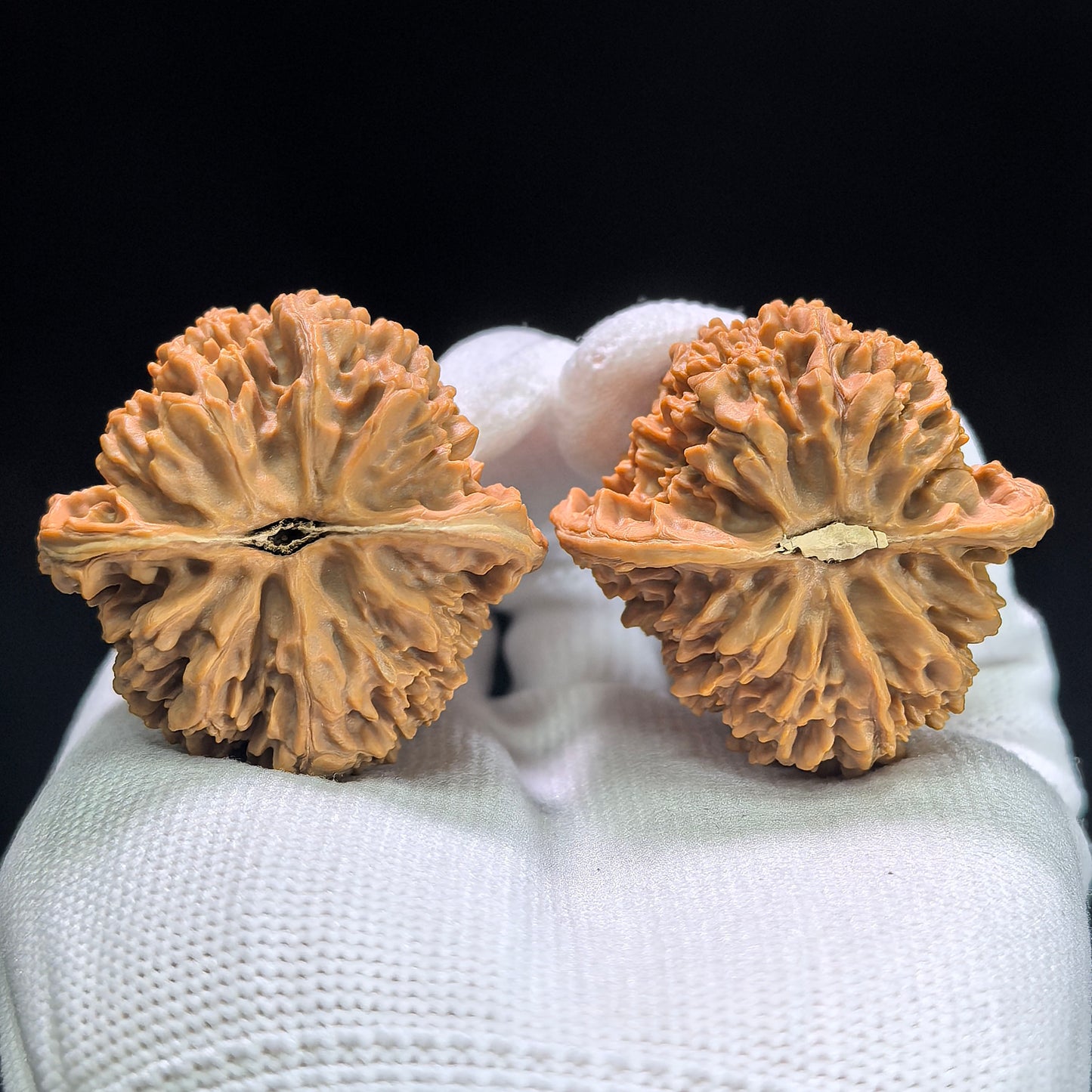 "Starry Sky" Mantianxing Wenwan Walnuts (Pair) | 40.0mm x 40.0mm | Stock ID: MTX-1401