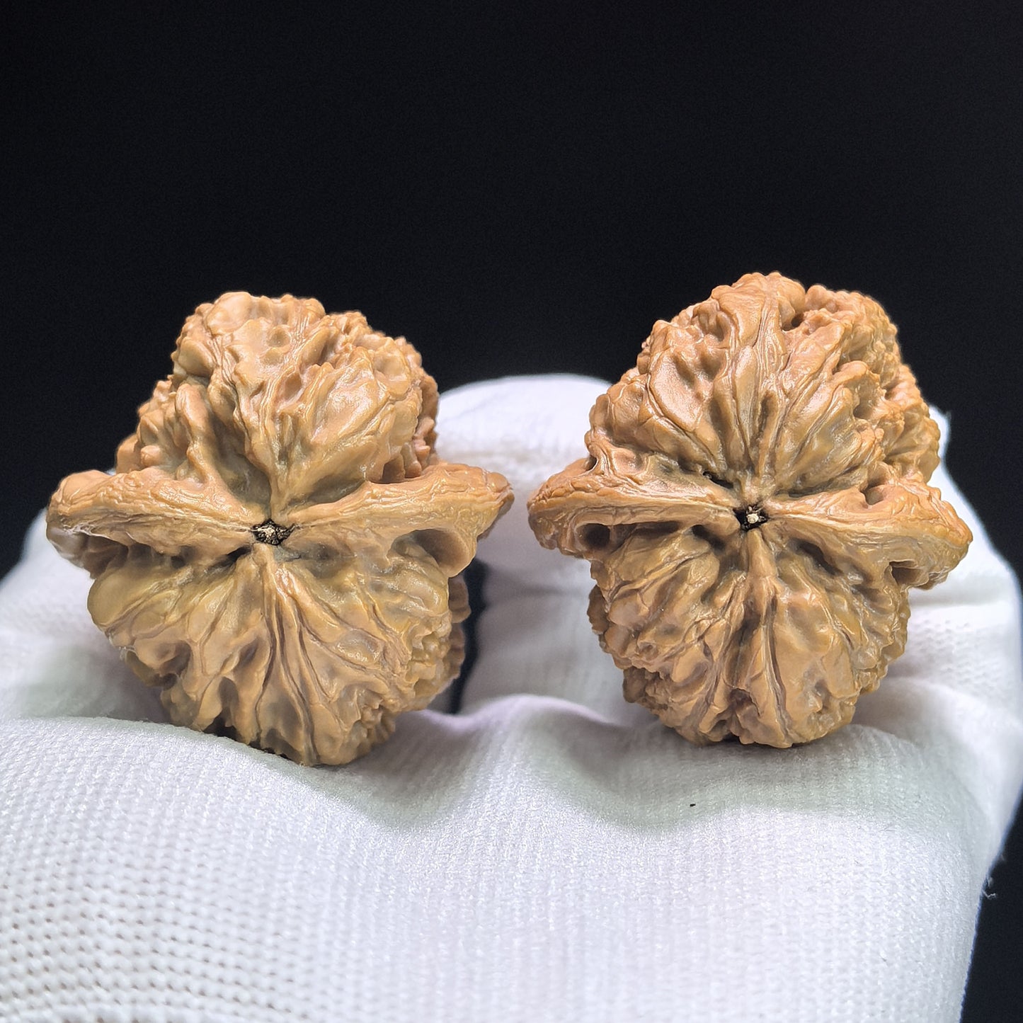 "North China General Shoulder" Huabei Jiangjunbang Wenwan Walnuts (Pair) | 39.0mm x 40.0mm | Stock ID: HBJJB-1107