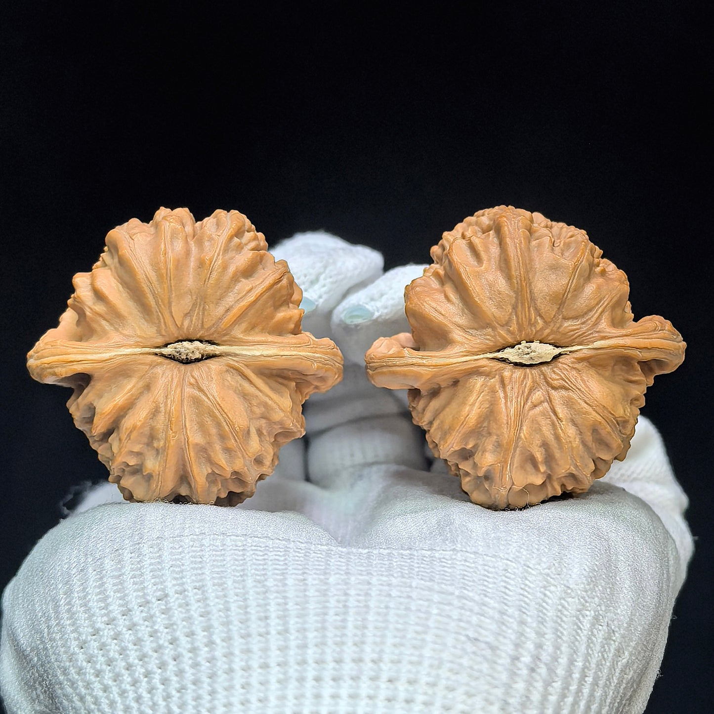 "Spherical White Lionhead" Qiuxing Baishizi QXBSJ-1505C Low-Profile Wenwan Walnuts Pair | 41.0mm x 40.0mm | QXBSJ-1505C