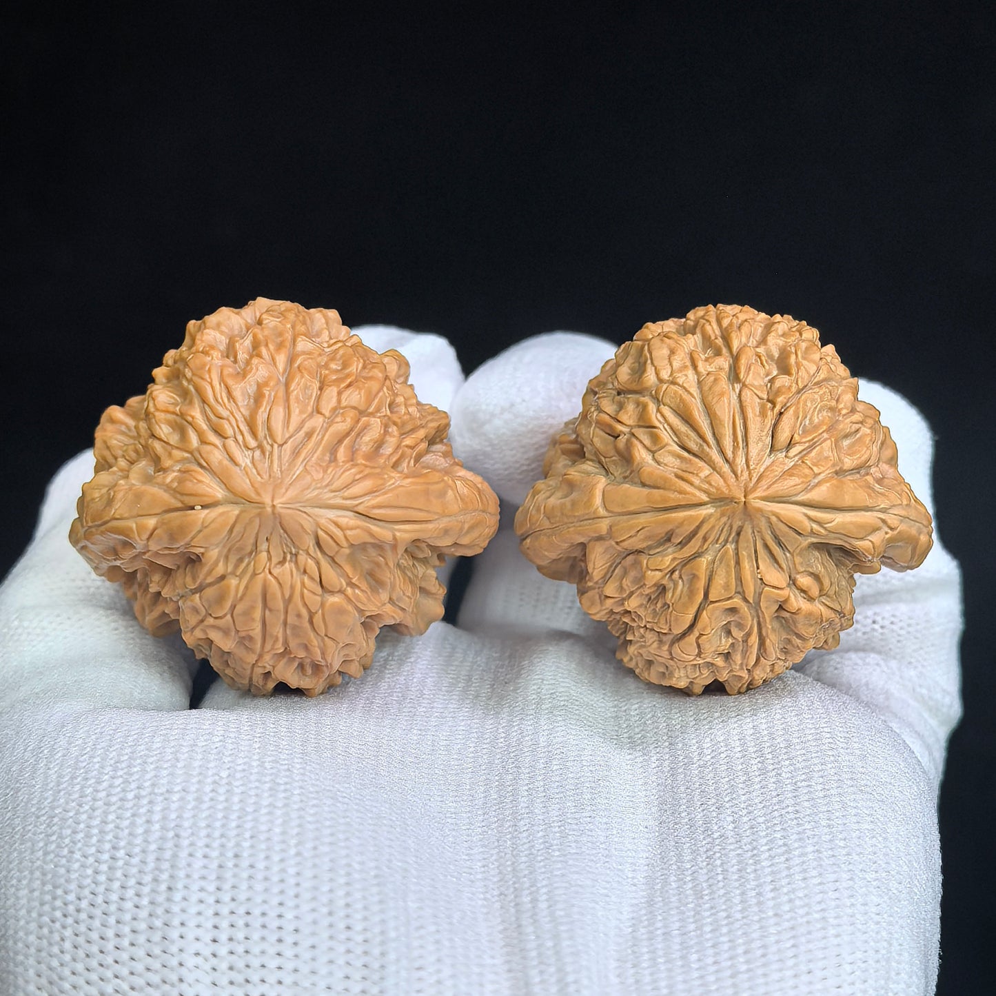 Triangle "Blizzard Turtle-Back" (Bao Xue Sanjiao Gui Bei) Scholar Walnuts Pair | 42.0mm x 39.0mm | Classic Low-Profile Silhouette | Collector Grade Masterpiece | Stock ID: BX-SY1E9