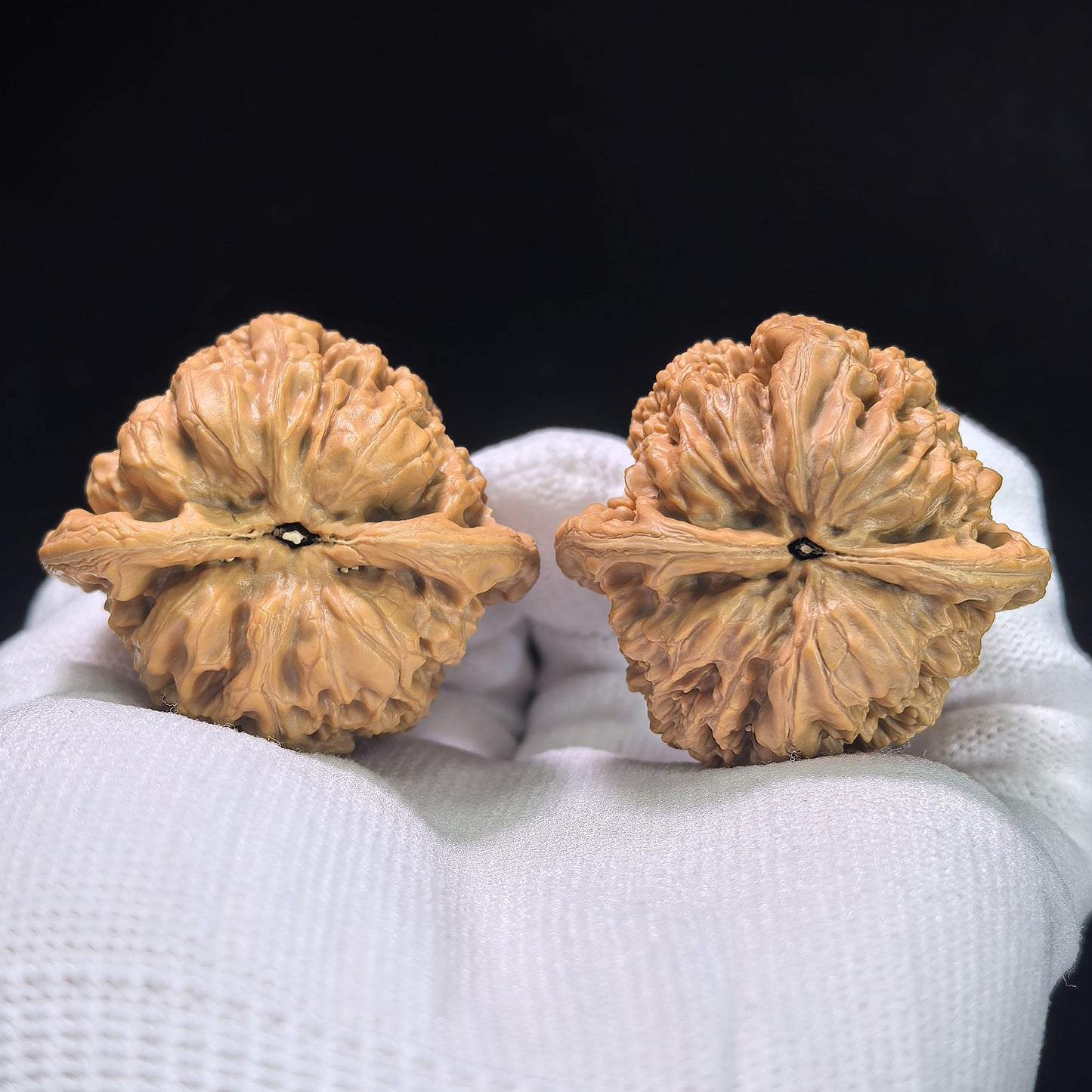 "North China General's Shoulder" Huabei Jiangjunbang Wenwan Walnuts Pair | 40.0mm x 38.0mm | HBJJB-1102