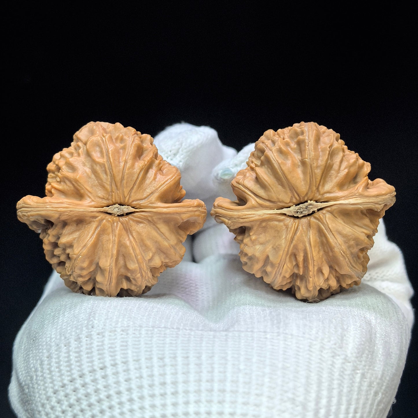 "Spherical White Lion" Qiuxing Baishizi Low-Profile Wenwan Walnuts Pair | 41.0mm x 41.0mm | QXBSJ-1502C
