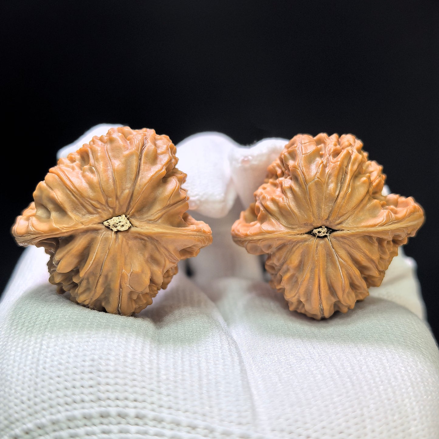 "Tall Stature Millstone" Gaozhuang Mopan MP-1404 Classic Wenwan Walnuts Pair | 36.0mm x 35.0mm | MP-1404