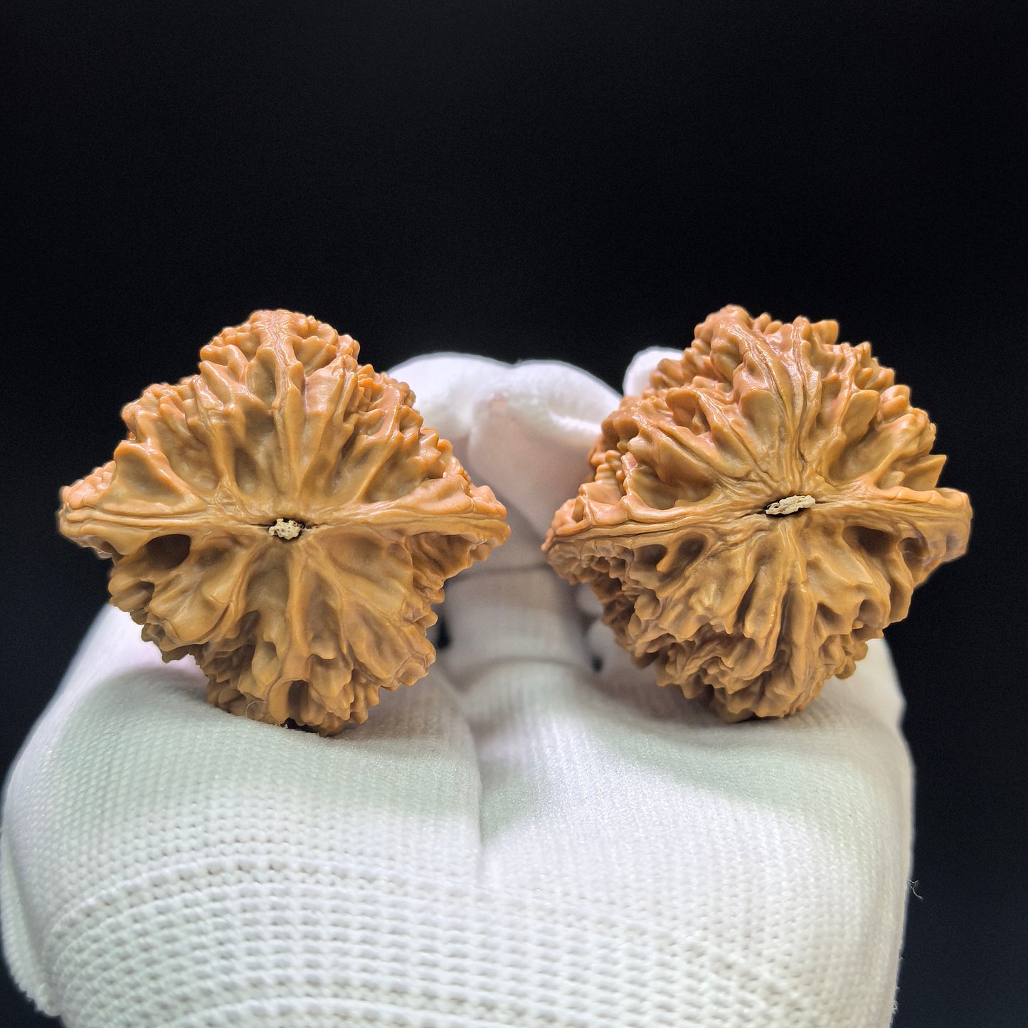 "Beijing Rooster Heart" Beijing Jixin Wenwan Walnuts (Pair) | 41.0mm x 40.0mm | Stock ID: BJJX-1108