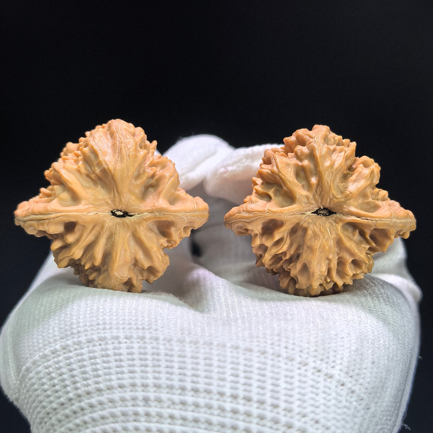 "Rosy Cloud Ridge" Xiayunling Classic Heritage Low-Profile Wenwan Walnuts Pair | 40.0mm x 37.0mm | XYL-1403