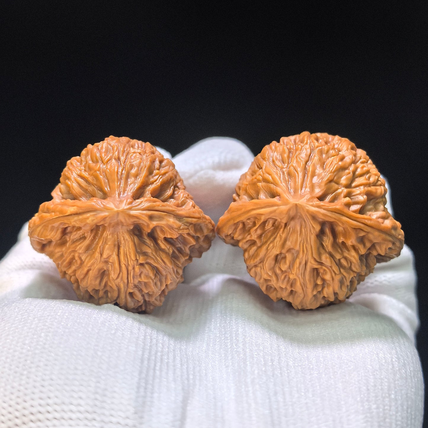 Triangle Concave-Base Nanjiangshi Scholar Walnuts Pair | Premium Select 38.0mm x 37.0mm | Classic Low-Profile Format | Stock ID: NJS-1513C