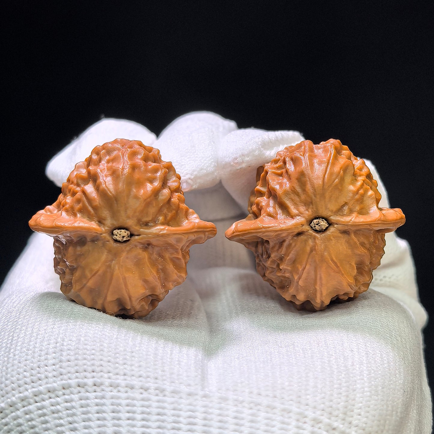 "Chengde Official Seal x Porcelain Doll" Guanyin Ciwawa Wenwan Walnuts Pair | 34.0mm x 33.0mm | CWW-1102