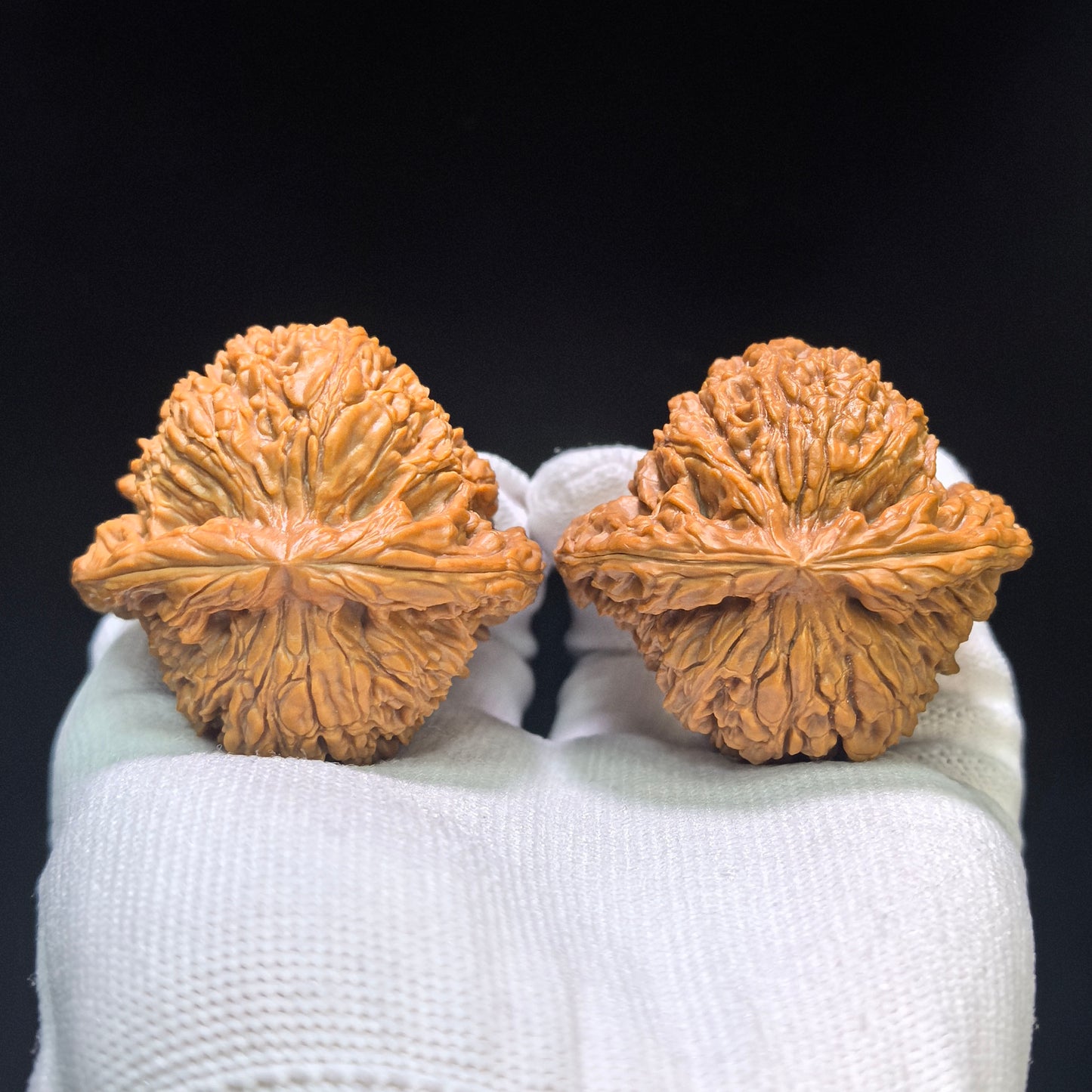 "Concave Base Nanjiangshi" Nanjiangshi Aodi Wenwan Walnuts (Pair) | 49.0mm x 45.0mm | Stock ID: NJS-1551C