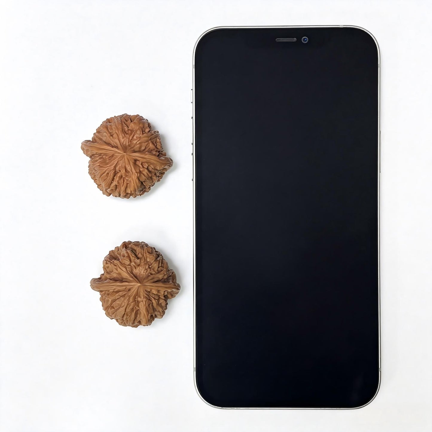 "Rain Flower Stone" Yuhuashi Hand-Twist Shou Nian Wenwan Walnuts (Pair) | 34.0mm x 32.0mm | Stock ID: YHS-1101
