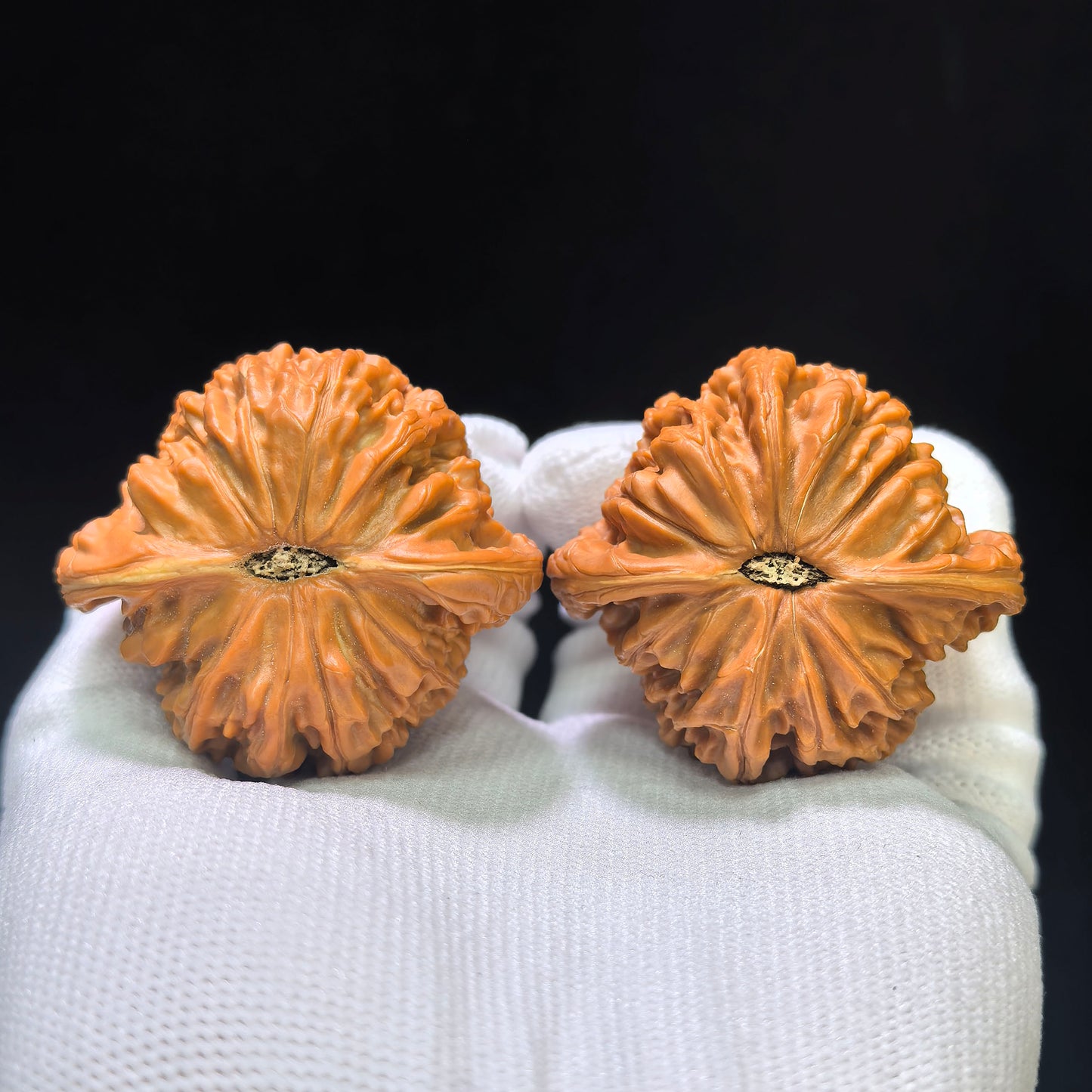 "Butterfly Millstone" Butterfly Mopan Wenwan Walnuts (Pair) | 46.0mm x 42.0mm | Stock ID: HDMP-1551C