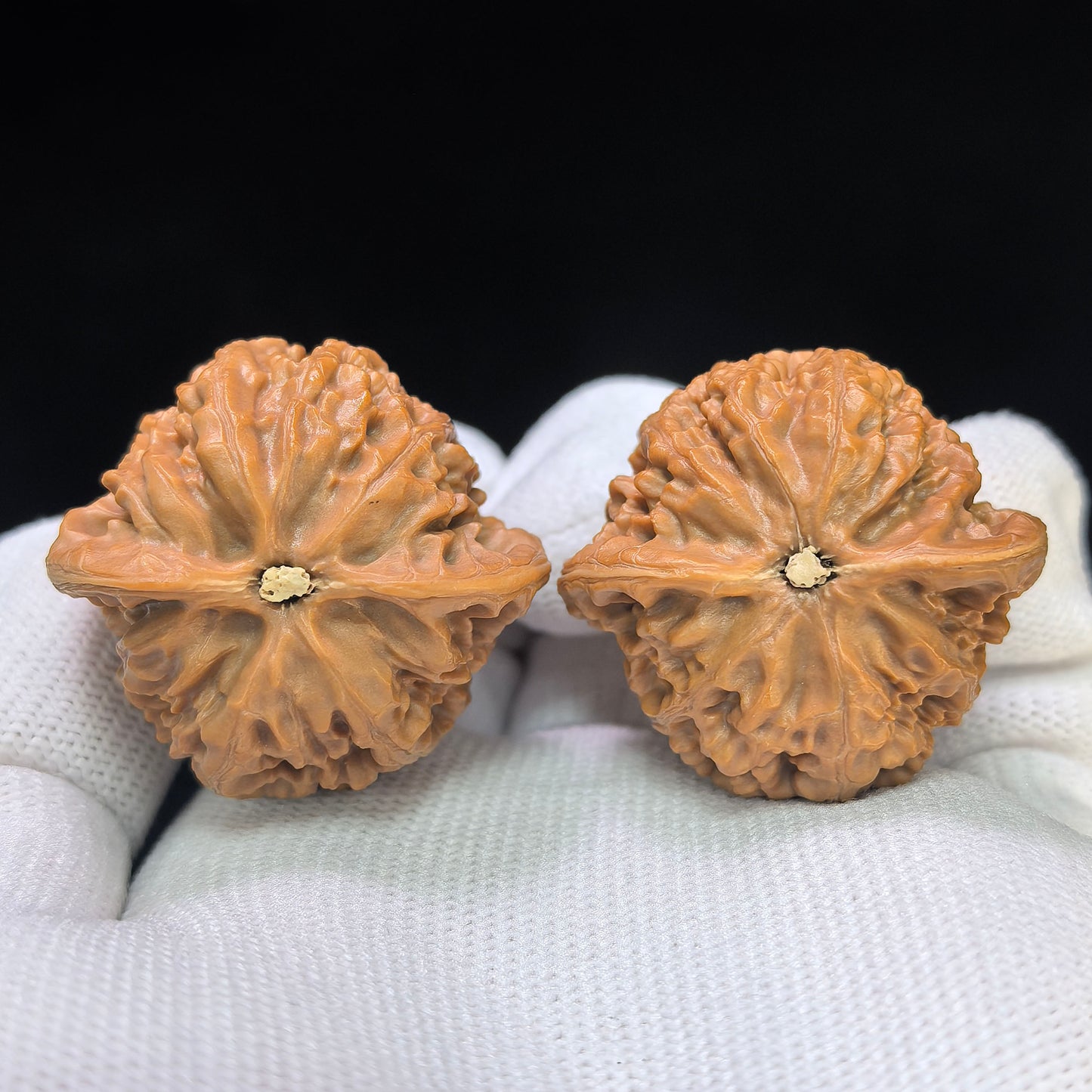 "Peach-Heart Palace Lantern" Taoxin Gongdeng Pocket Low-Profile Wenwan Walnuts Pair | 35.0mm x 35.0mm | GD-SY1B10