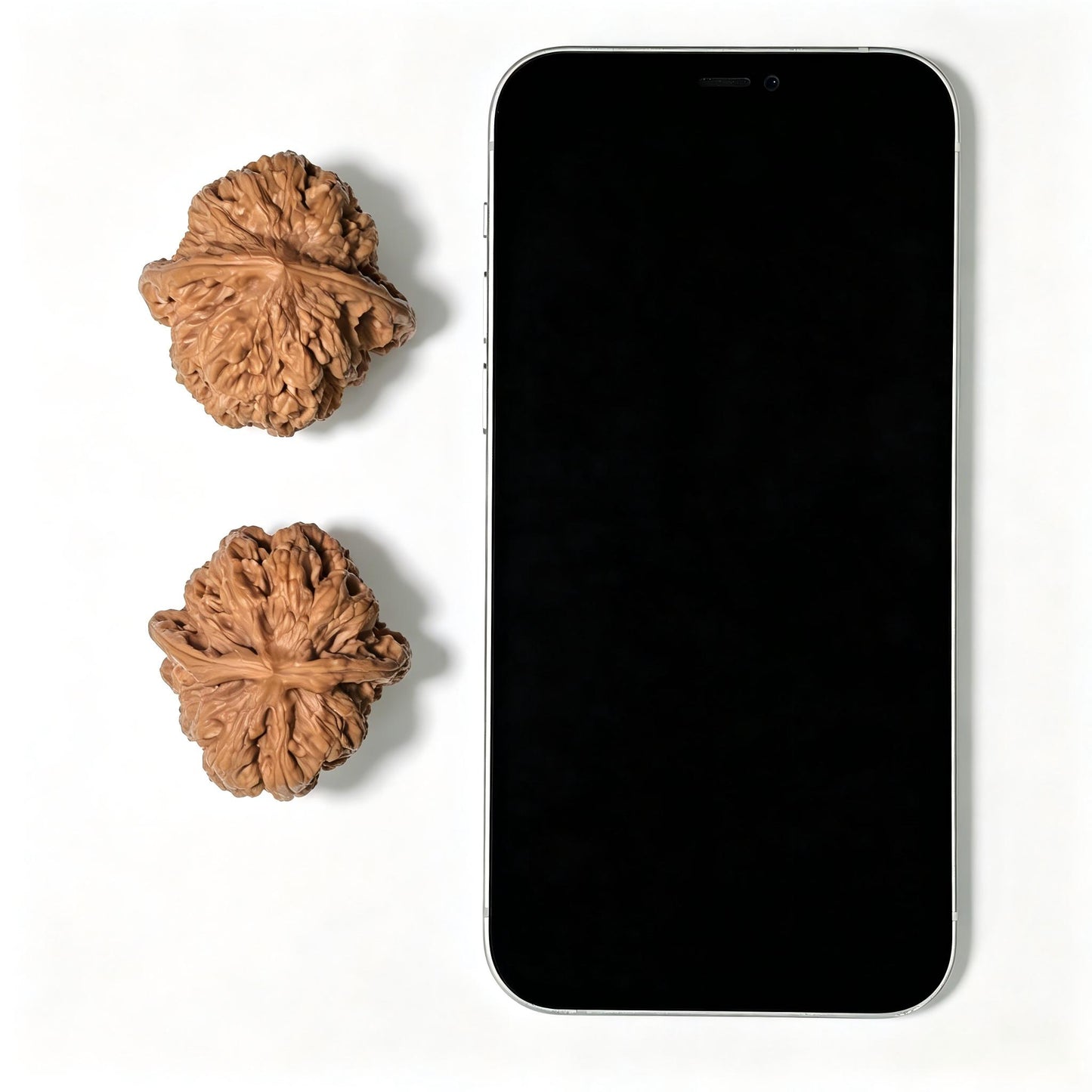 "North China General Shoulder" Huabei Jiangjunbang Wenwan Walnuts (Pair) | 40.0mm x 40.0mm | Stock ID: HBJJB-1104