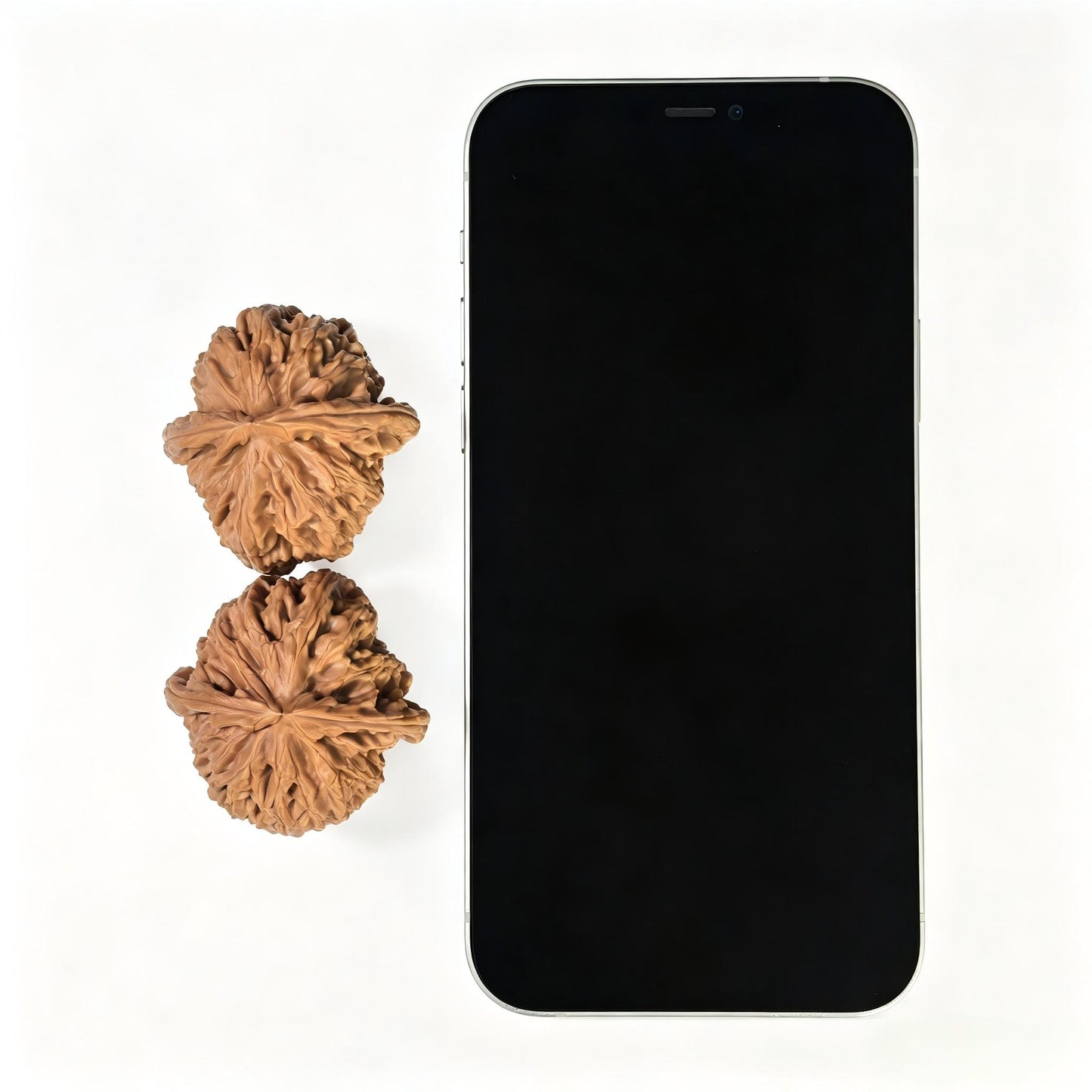 "White Lionhead" Baishizi BSZ-1601 Low-Profile Wenwan Walnuts Pair | 40.0mm x 41.0mm | BSZ-1601