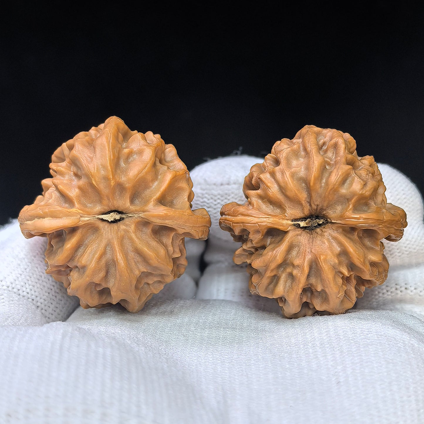 "Cao Great Dragon" Cao Dalong CDL-17D5 Low-Profile Wenwan Walnuts Pair | 35.0mm x 36.0mm | CDL-17D5
