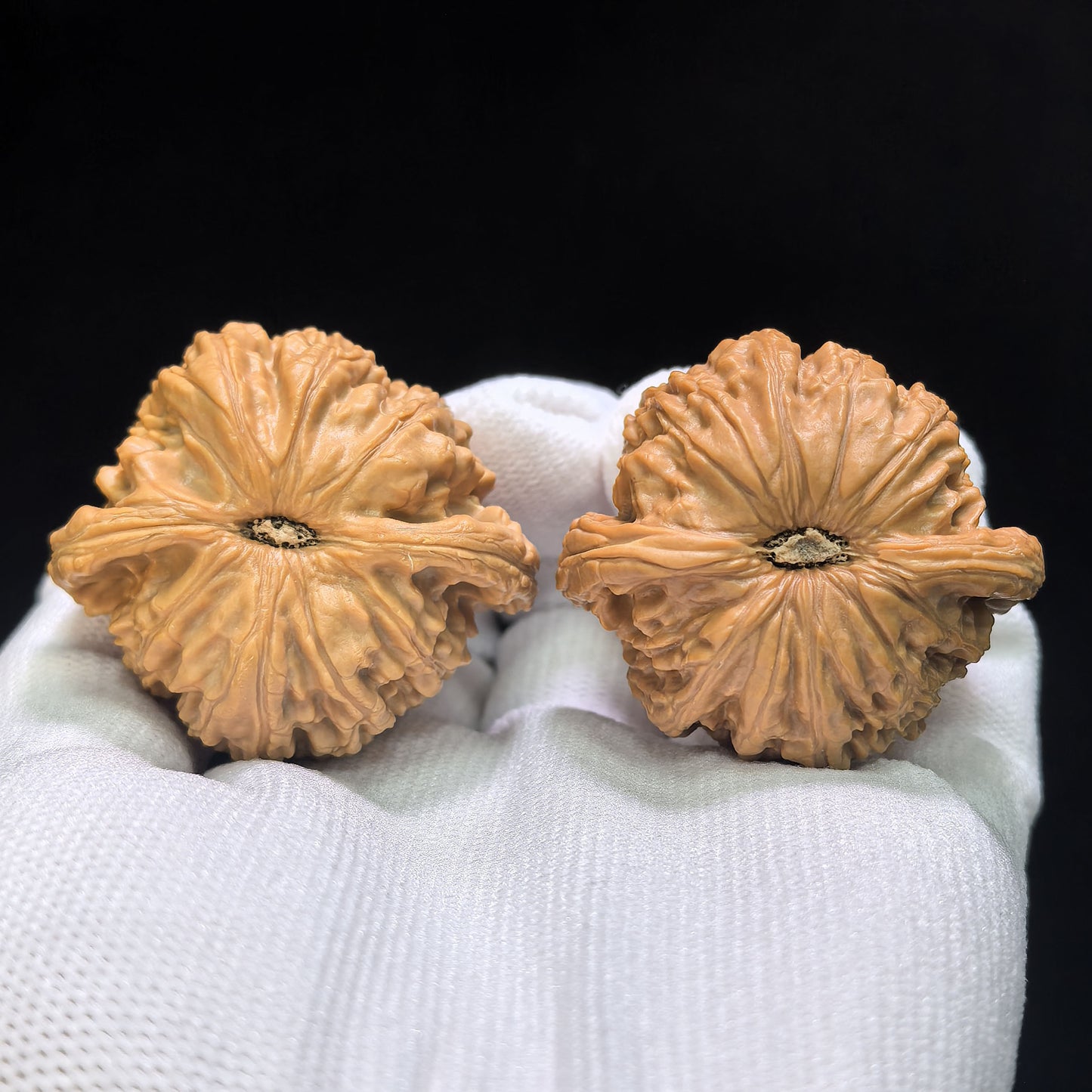 "Millstone" Mopan Wenwan Walnuts Pair | 42.0mm x 39.0mm | MP-1501C
