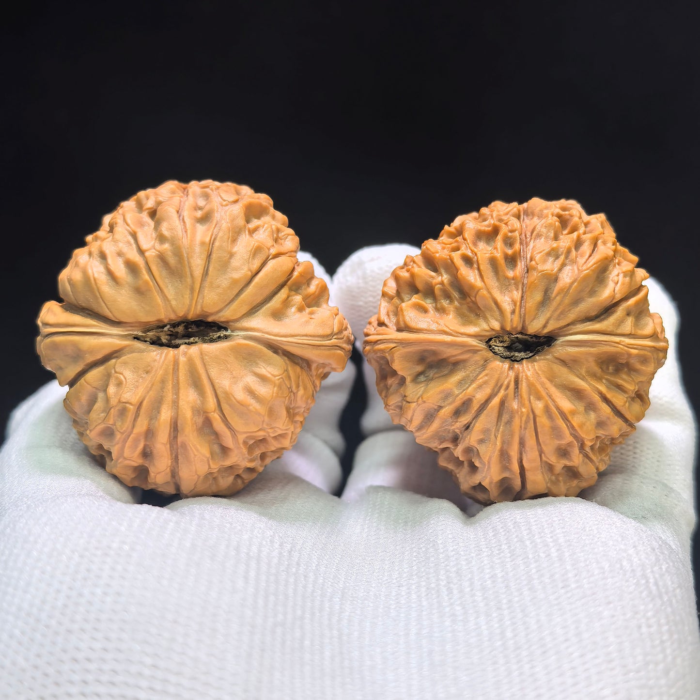 "Grand Reunion" Datuanyuan Wenwan Walnuts Pair | 43.0mm x 44.0mm | TY-1501C