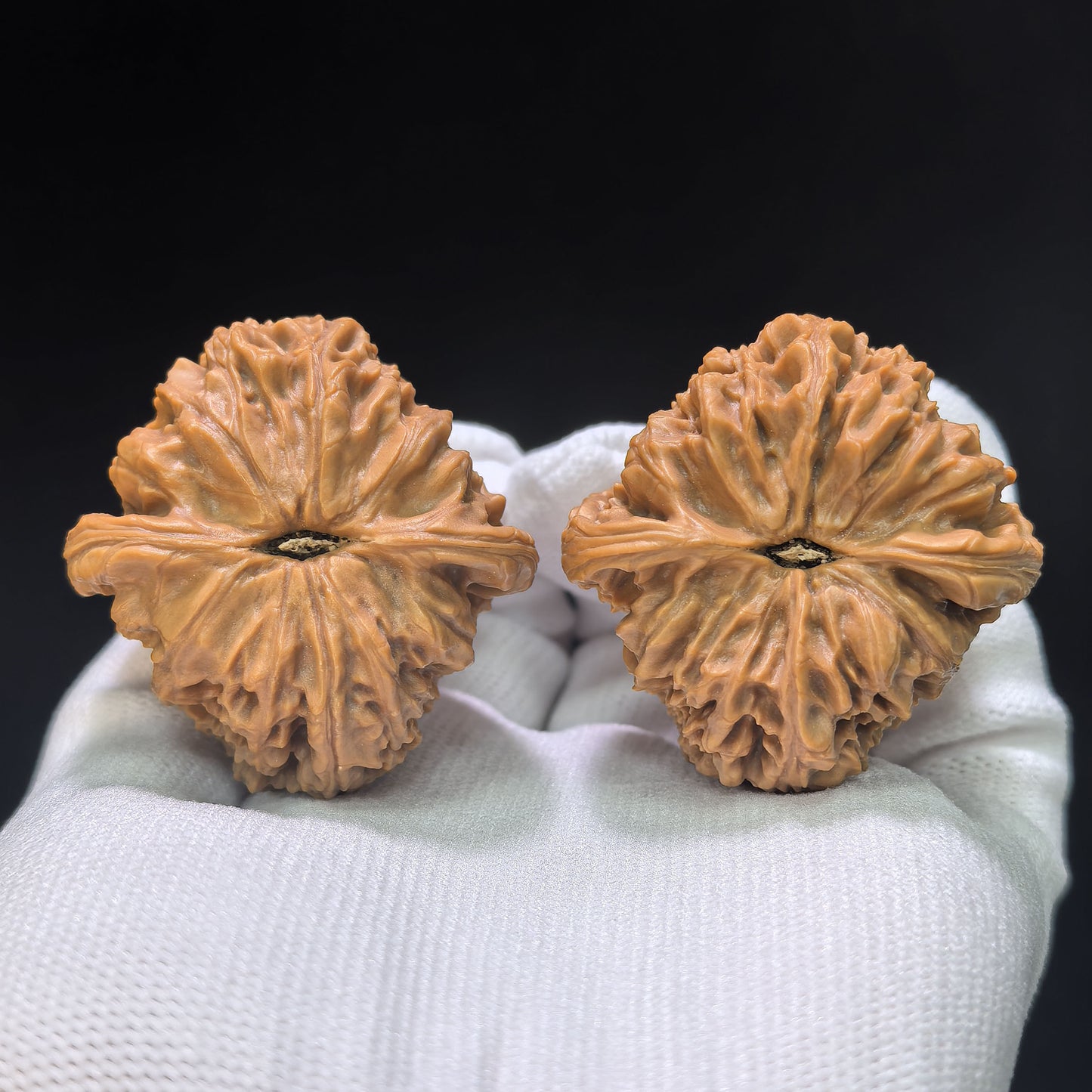 "Nanjiang Stone Red Shell" Nanjiangshi Hongke Wenwan Walnuts Pair | 41.0mm x 43.0mm | NJS-1511C