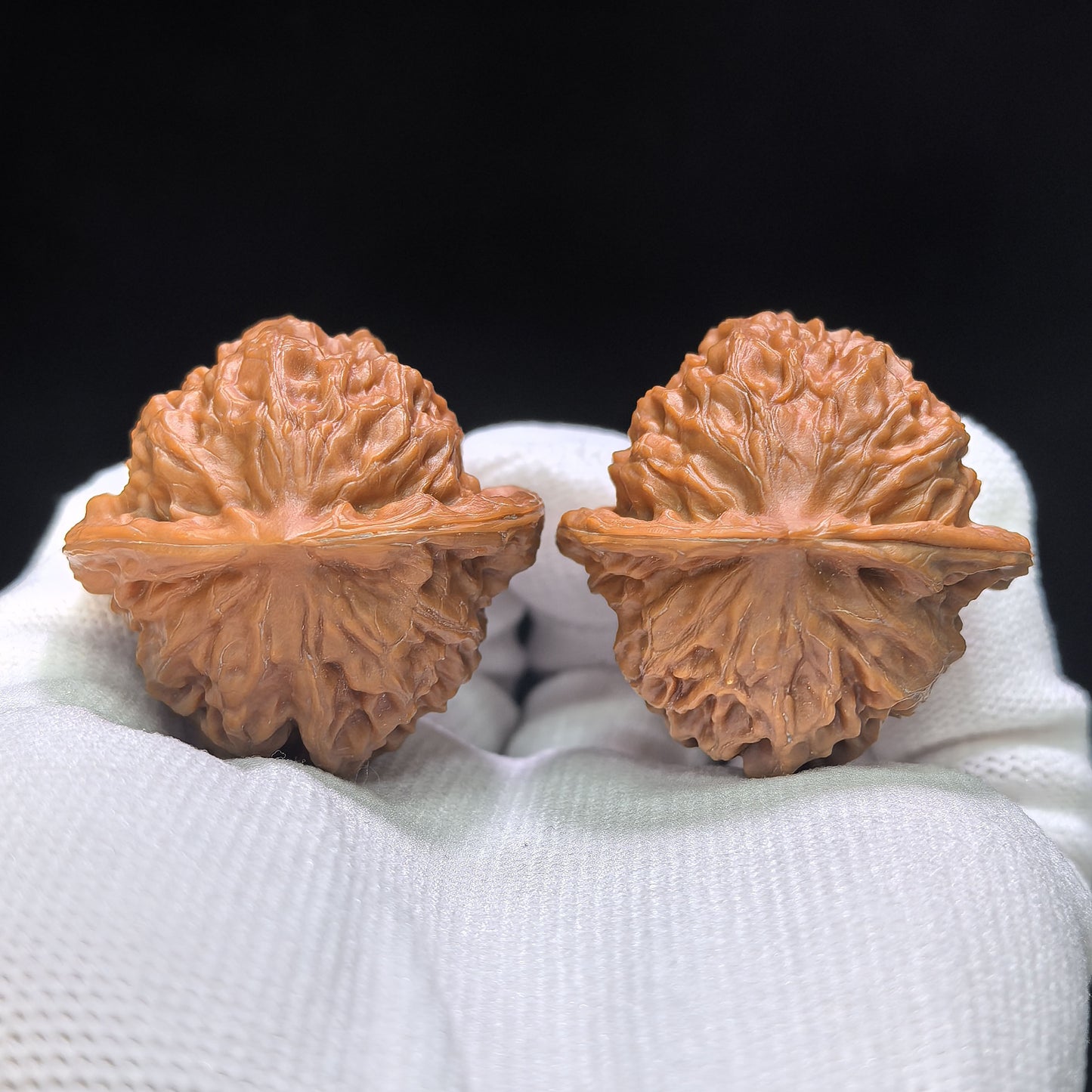 "Porcelain Doll" Ciwawa Wenwan Walnuts Pair | 37.0mm x 37.