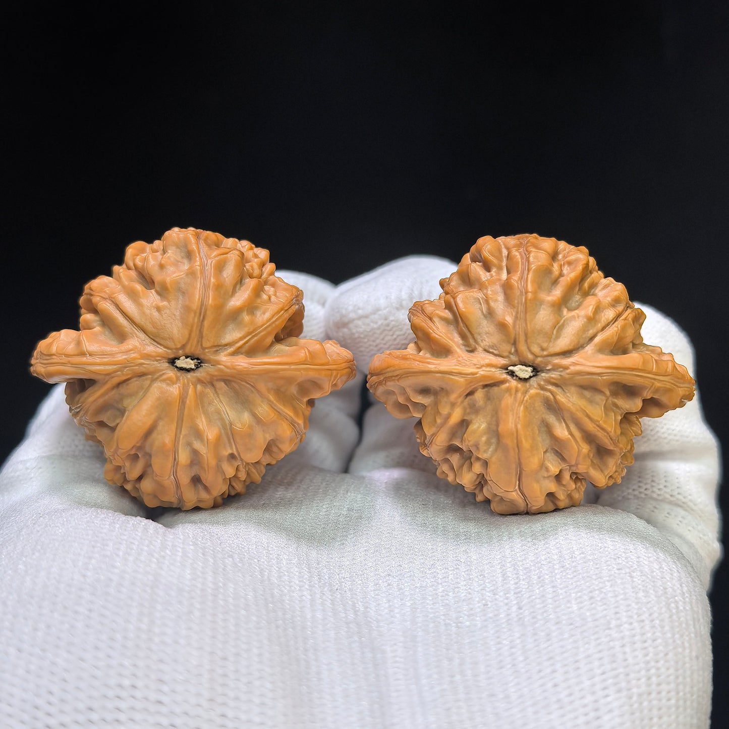 "Shuiquangou Prince Hat" Shuiquangou Gongzimao Wenwan Walnuts Pair | 42.0mm x 37.0mm | SQGGZM-01SY