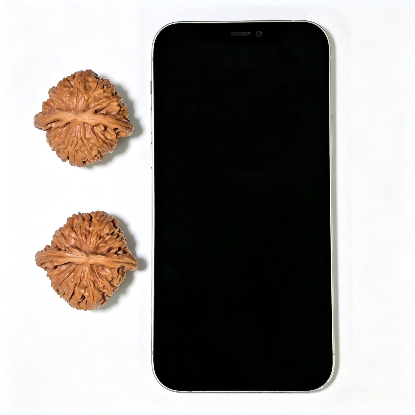 "Panshan" Panshan Wenwan Walnuts (Pair) | 39.0mm x 38.0mm | Stock ID: PS-1402