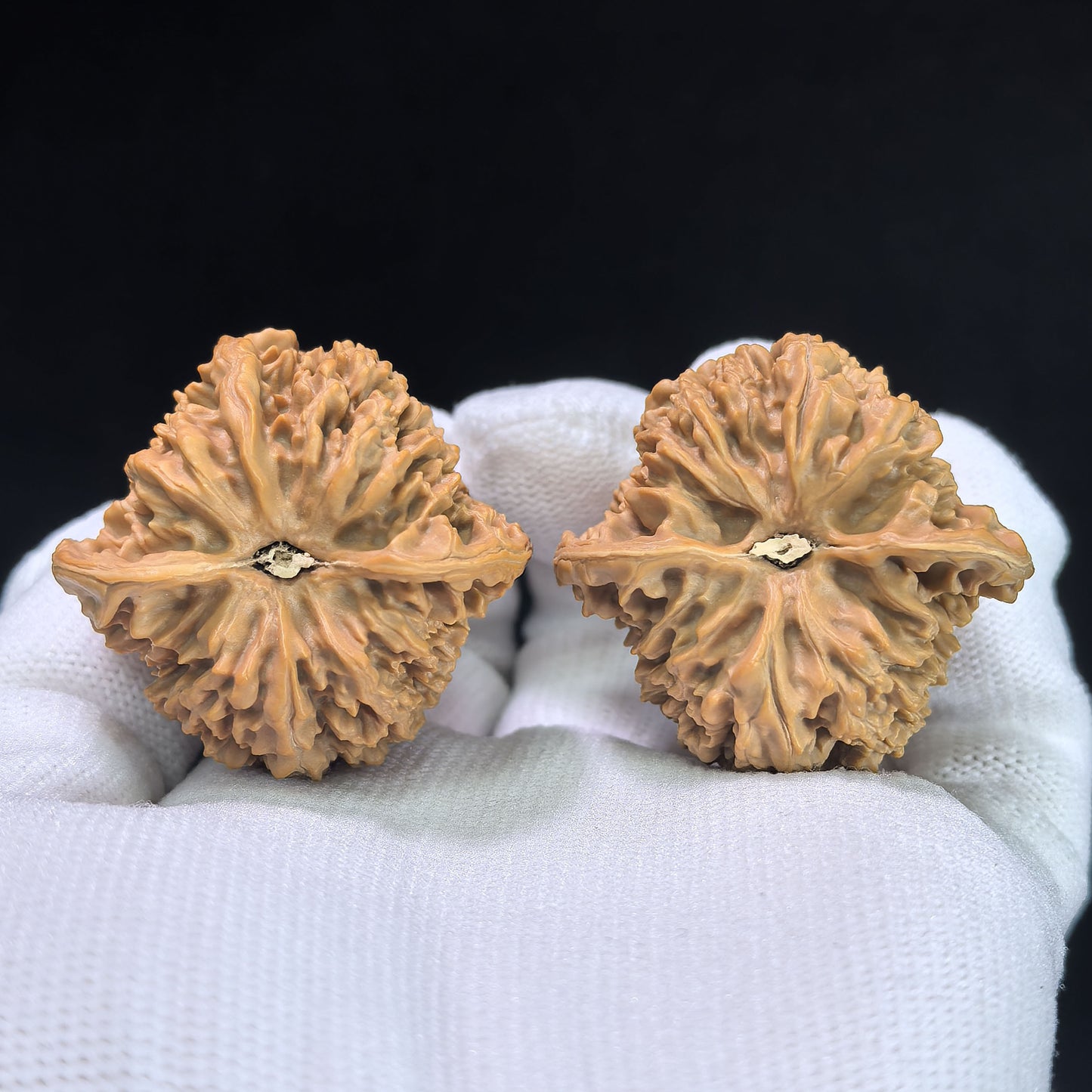 "Peach Heart Concave Base Starry Sky" Mantianxing Wenwan Walnuts Pair | 38.0mm x 37.0mm | MTX-1410