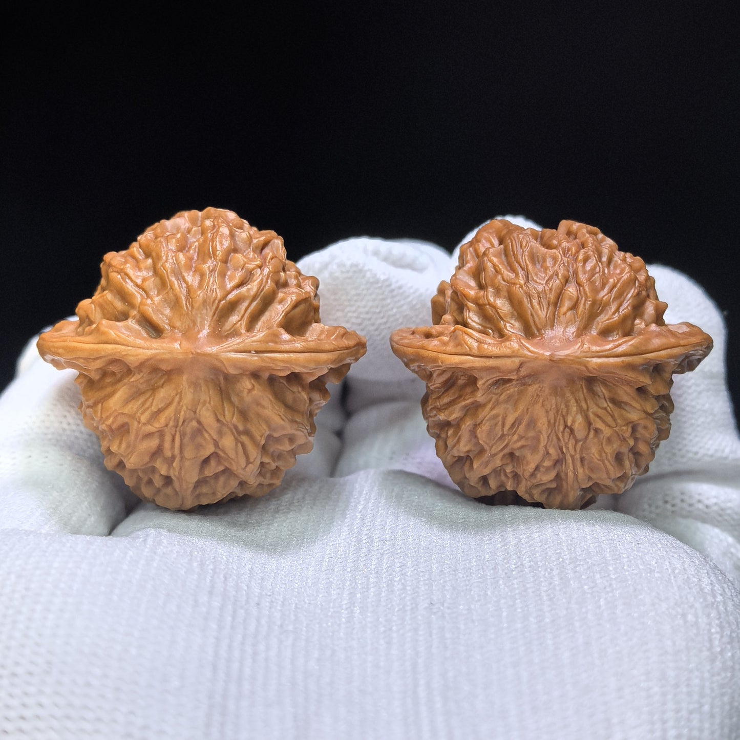"Porcelain Doll" Ciwawa Wenwan Walnuts Pair | 37.0mm x 35.0mm | CWW-1504C