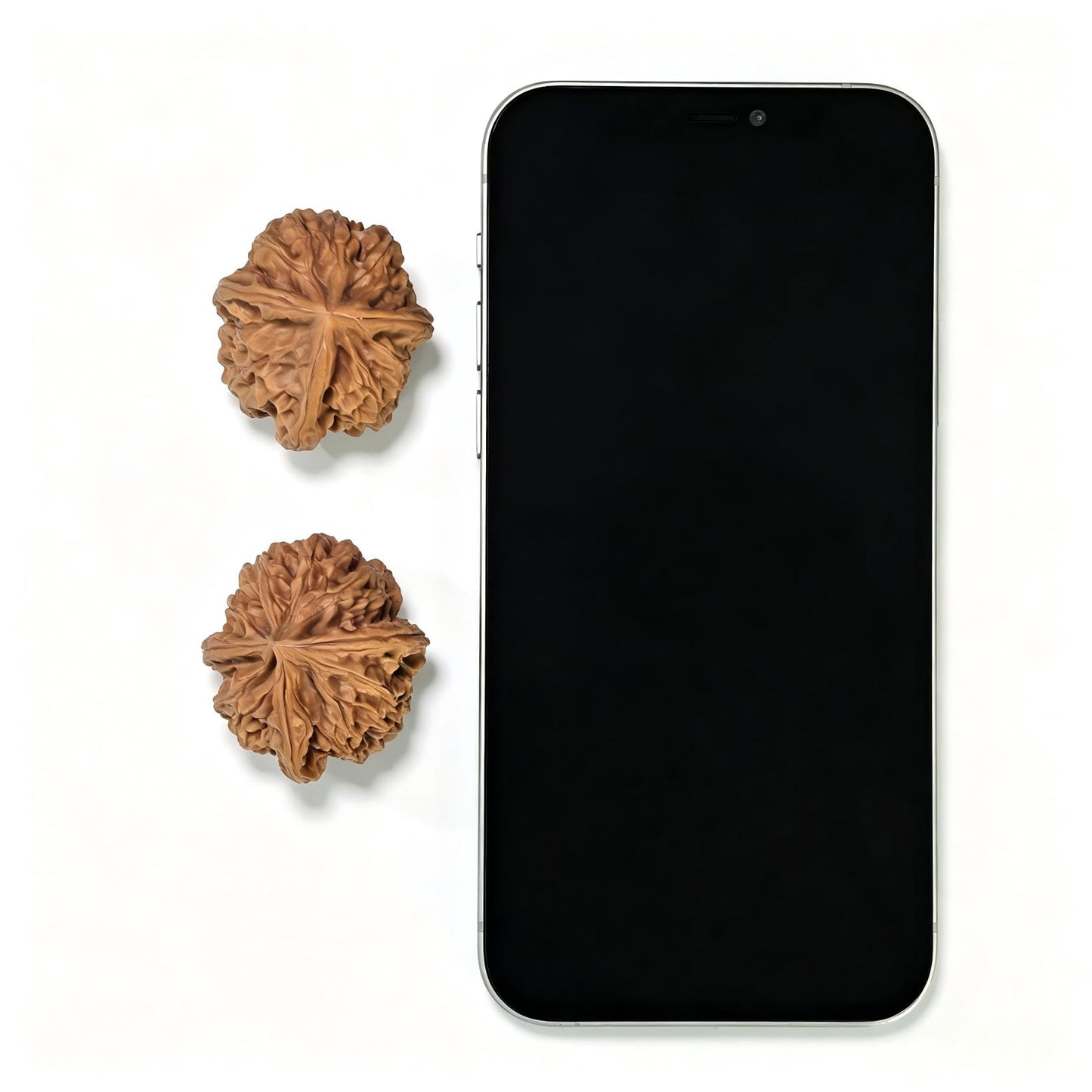 "Imperial Jade Seal Three-Ribbed" Yuxi Sanleng Multi-Ribbed Wenwan Walnuts Pair | 34.0mm x 37.0mm | YSSN-C225E