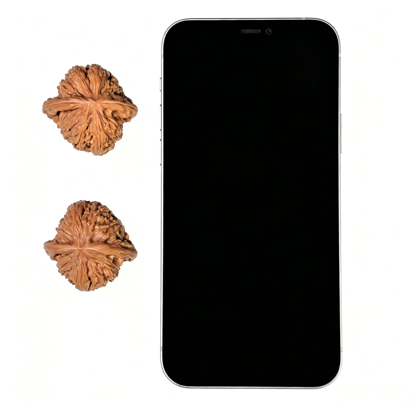 "Tall Stature Millstone" Gaozhuang Mopan MP-1404 Classic Wenwan Walnuts Pair | 36.0mm x 35.0mm | MP-1404