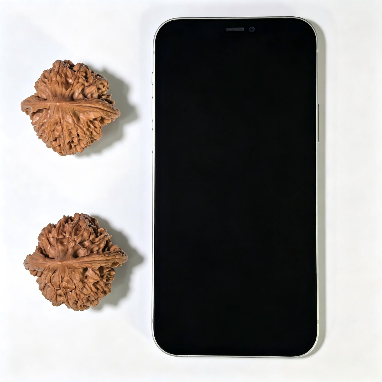 "Wild Cultivar" Yesheng Wenwan Walnuts (Pair) | 41.0mm x 41.0mm | Stock ID: YS-1102