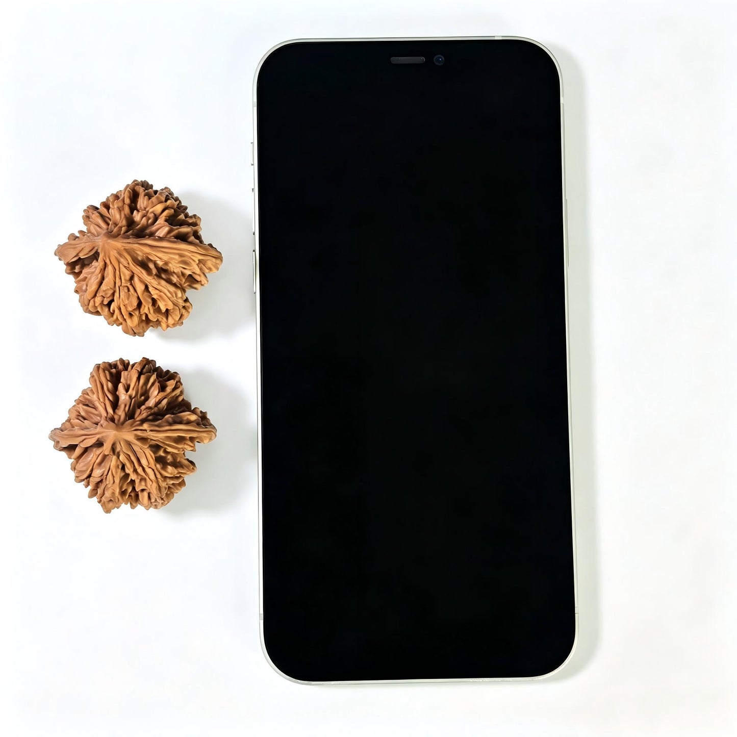 "Reaching Heaven Eight" Tongtianba TTB-1601 Classic Wenwan Walnuts Pair | 36.0mm x 35.0mm | TTB-1601