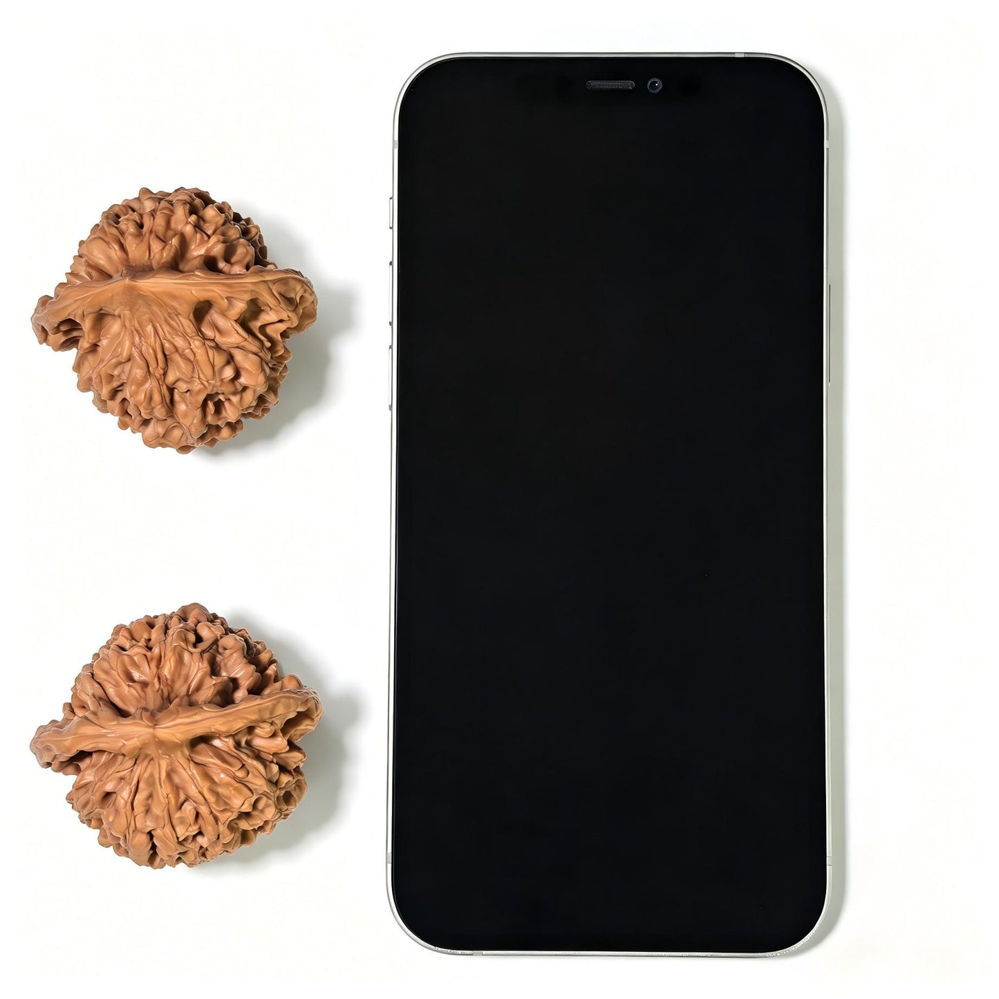 "Official Hat" Guan Mao Wenwan Walnuts (Pair) | 45.0mm x 41.0mm | Stock ID: GM-1105