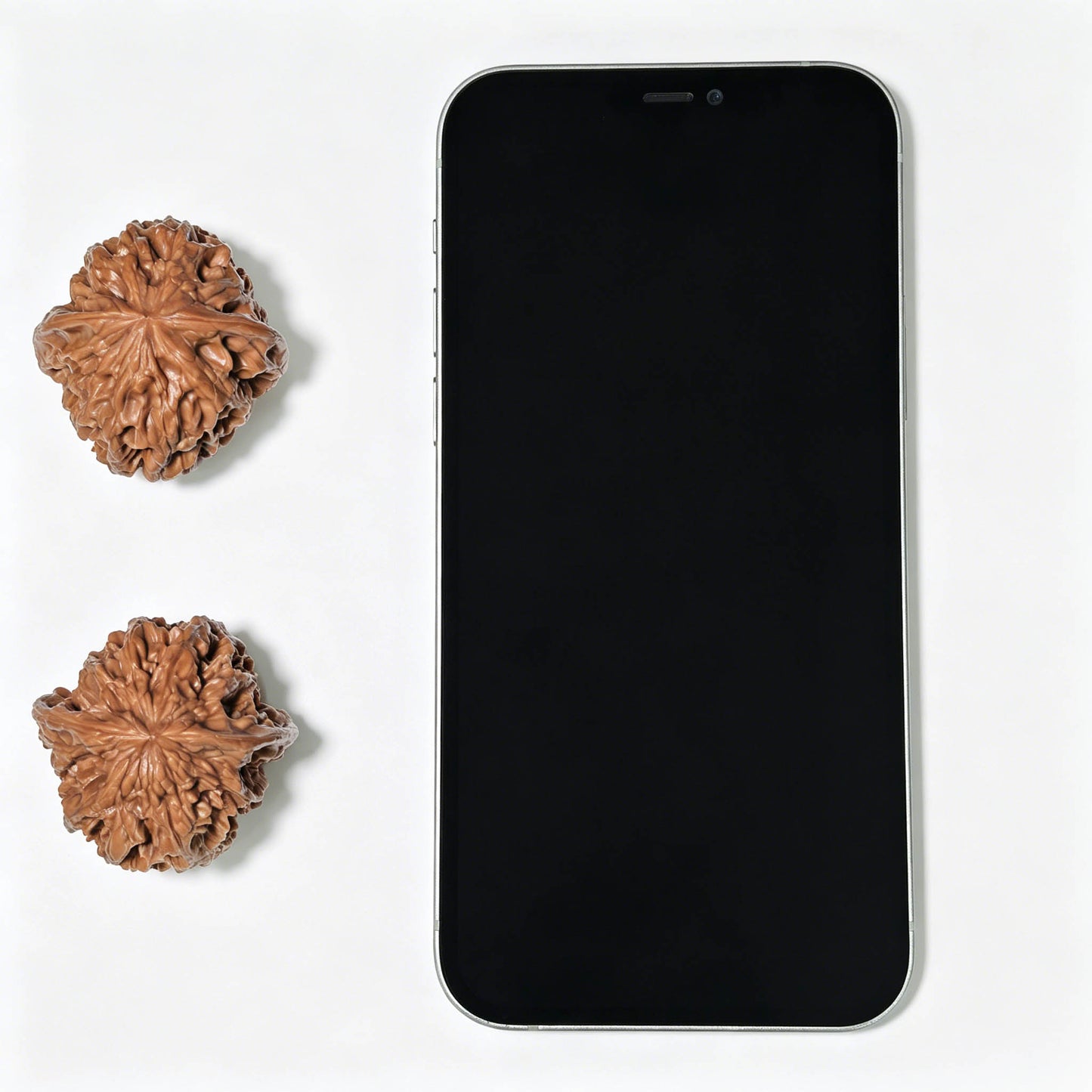 Ye Niu (Wild Bison) Scholar Walnuts Pair | 38.0mm x 39.0mm | Stock ID: YN-1405