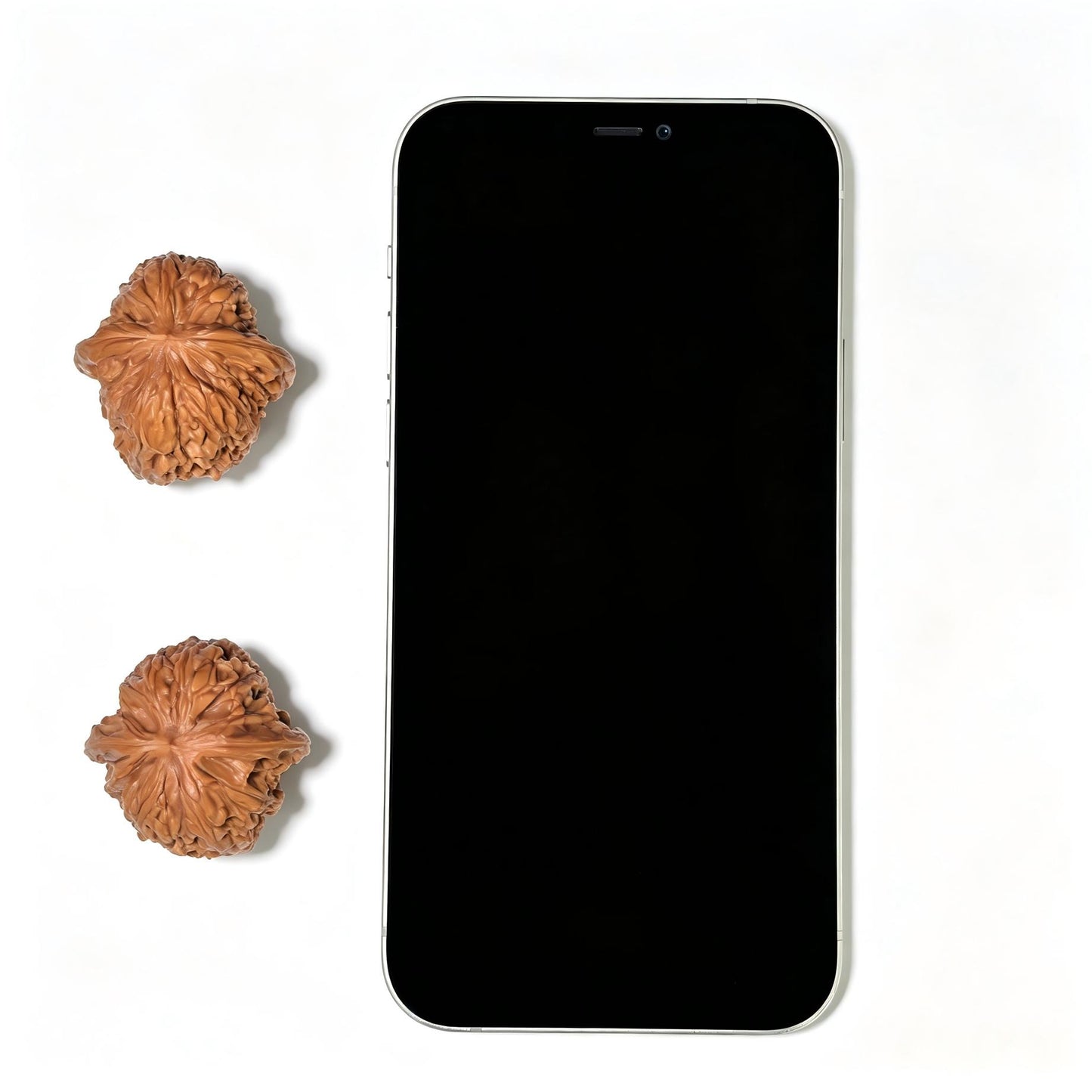 "Wild Pebble Millstone" Ye Sheng Shizi Mopan Wenwan Walnuts (Pair) | 34.0mm x 35.0mm | Stock ID: SZMP-1401