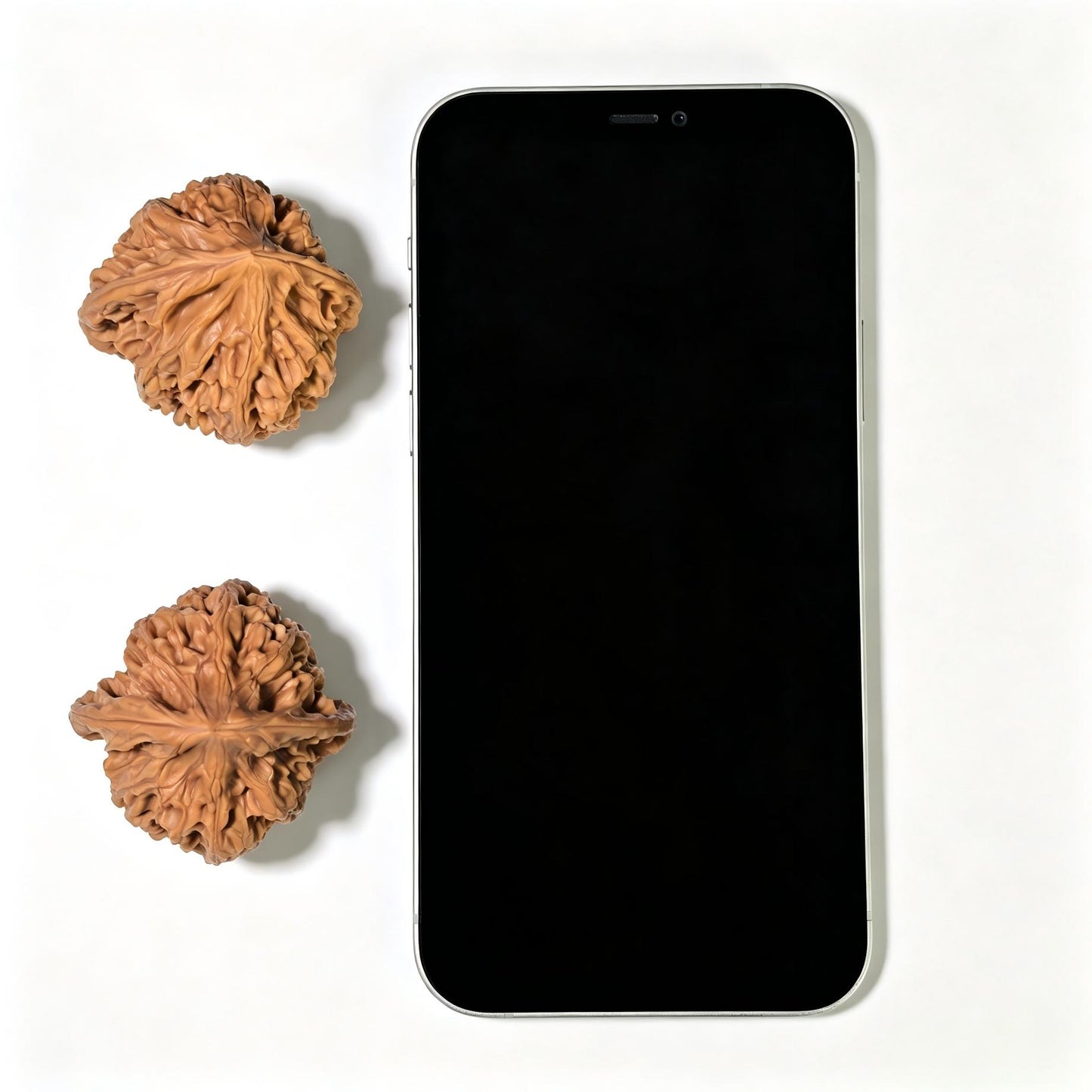 "Beijing Rooster Heart" Beijing Jixin Wenwan Walnuts (Pair) | 42.0mm x 42.0mm | Stock ID: BJJX-1105