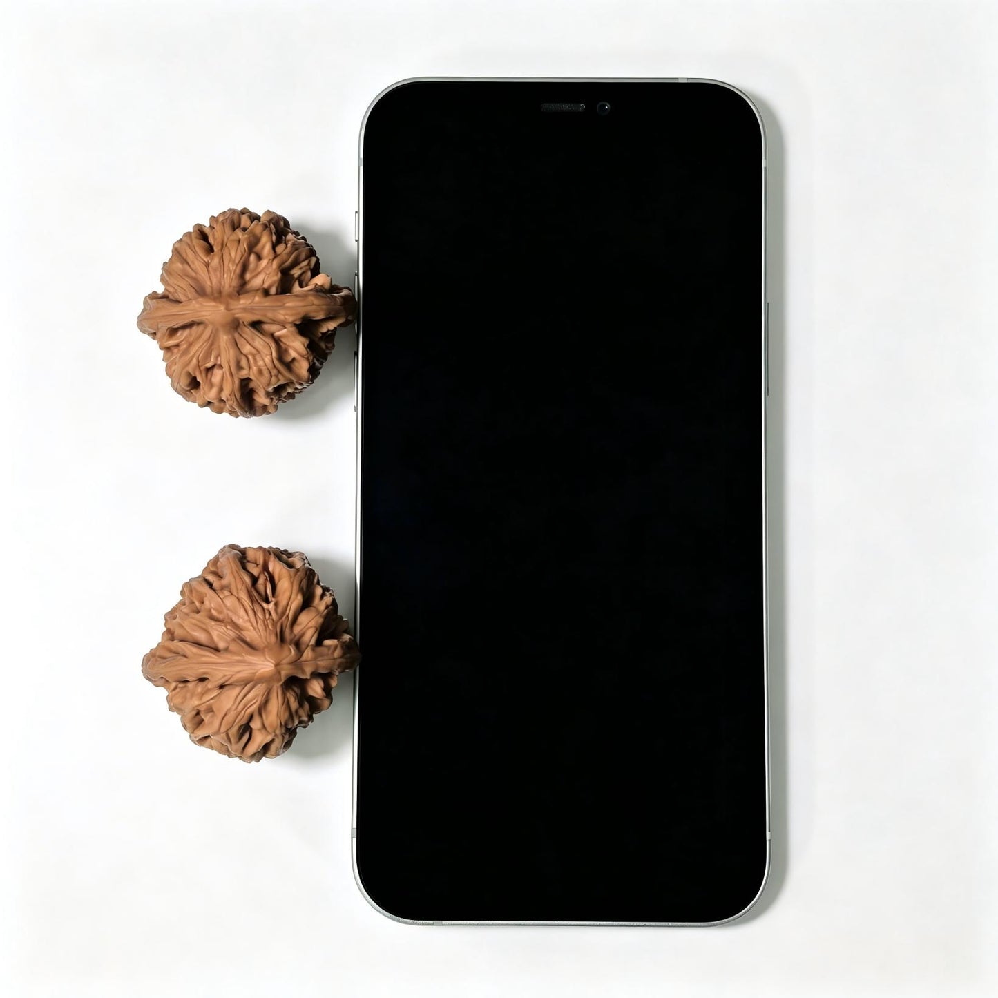 "Beijing Chicken Heart" Beijing Jixin BJJX-1402 Low-Profile Wenwan Walnuts Pair | 38.0mm x 38.0mm | BJJX-1402