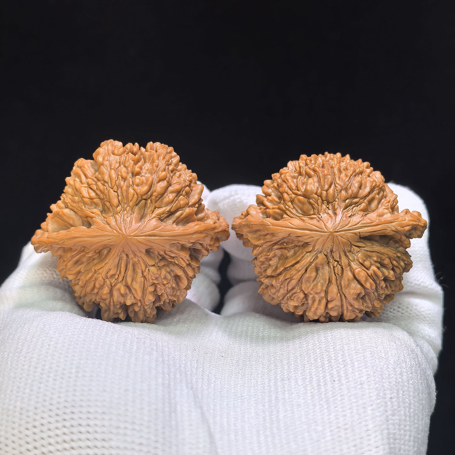 "Starry Sky" Mantianxing Wenwan Walnuts (Pair) | 43.0mm x 40.0mm | Stock ID: MTX-1003