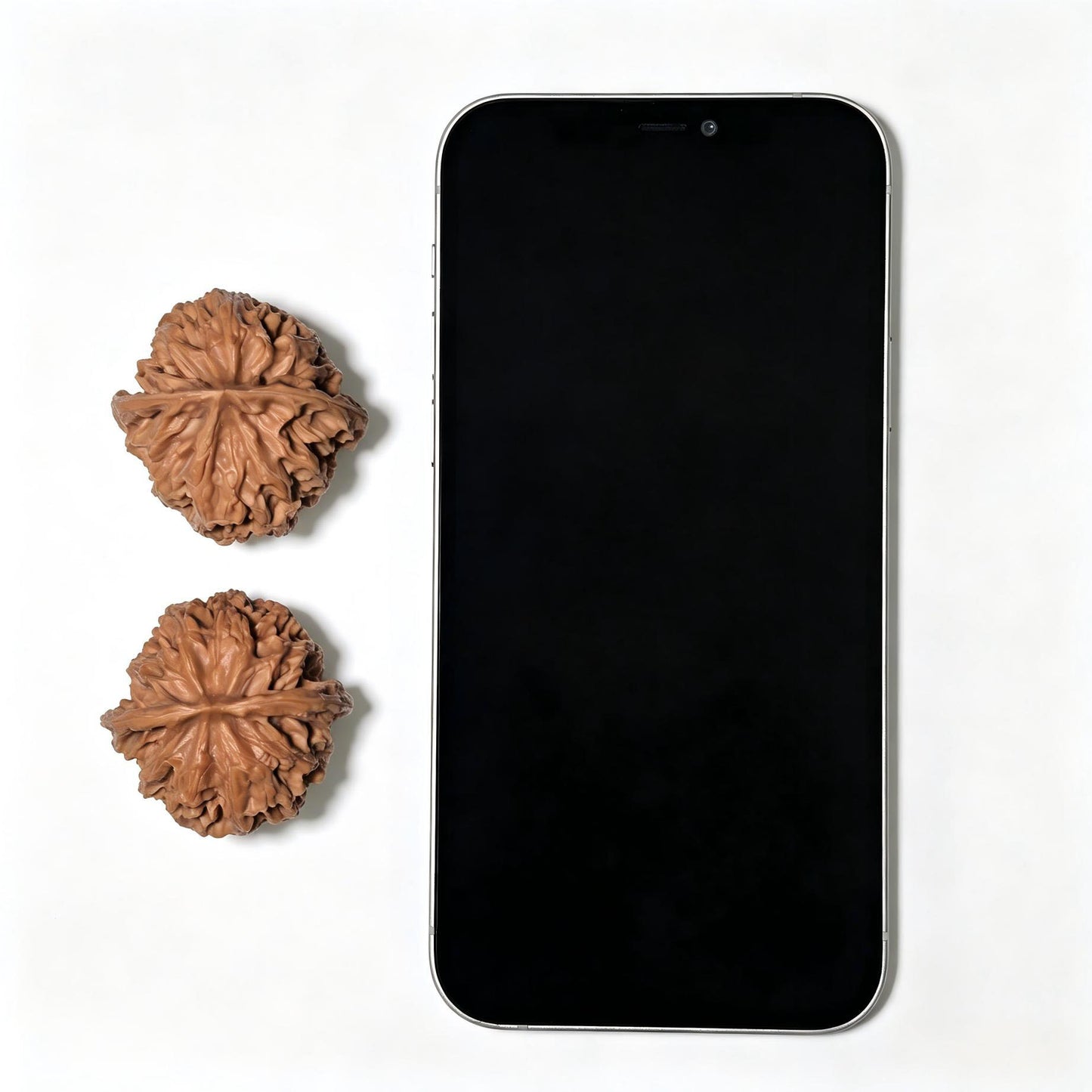 The Symmetrical "Apple Orchard" Pingguoyuan Lion Head Pocket Masterpiece | 39.0mm x 38.0mm | PGY-1401
