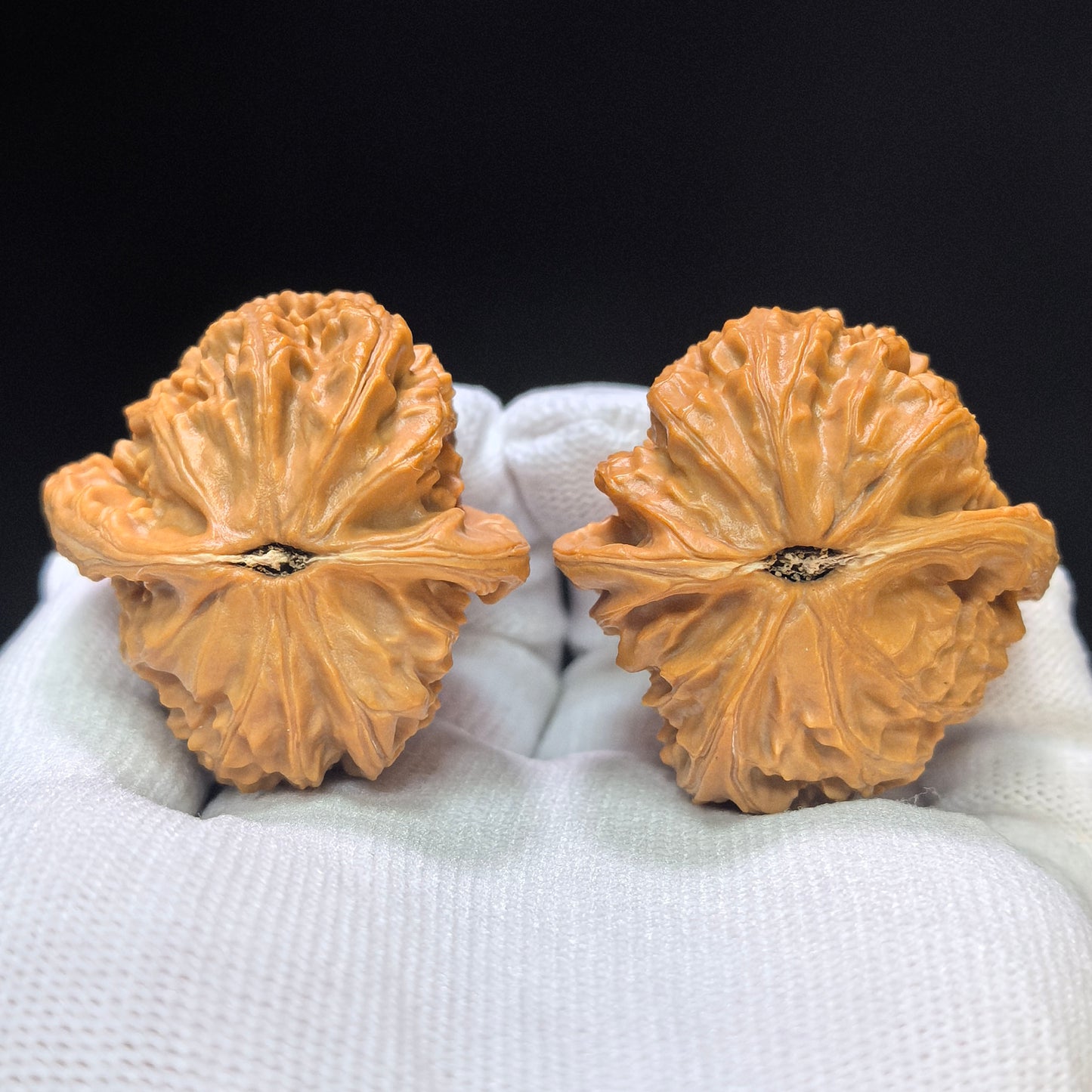 "White Lion Half-Wall" Baishizi Banbi Wenwan Walnuts Pair | 40.0mm x 41.0mm | BSJBB-C236E