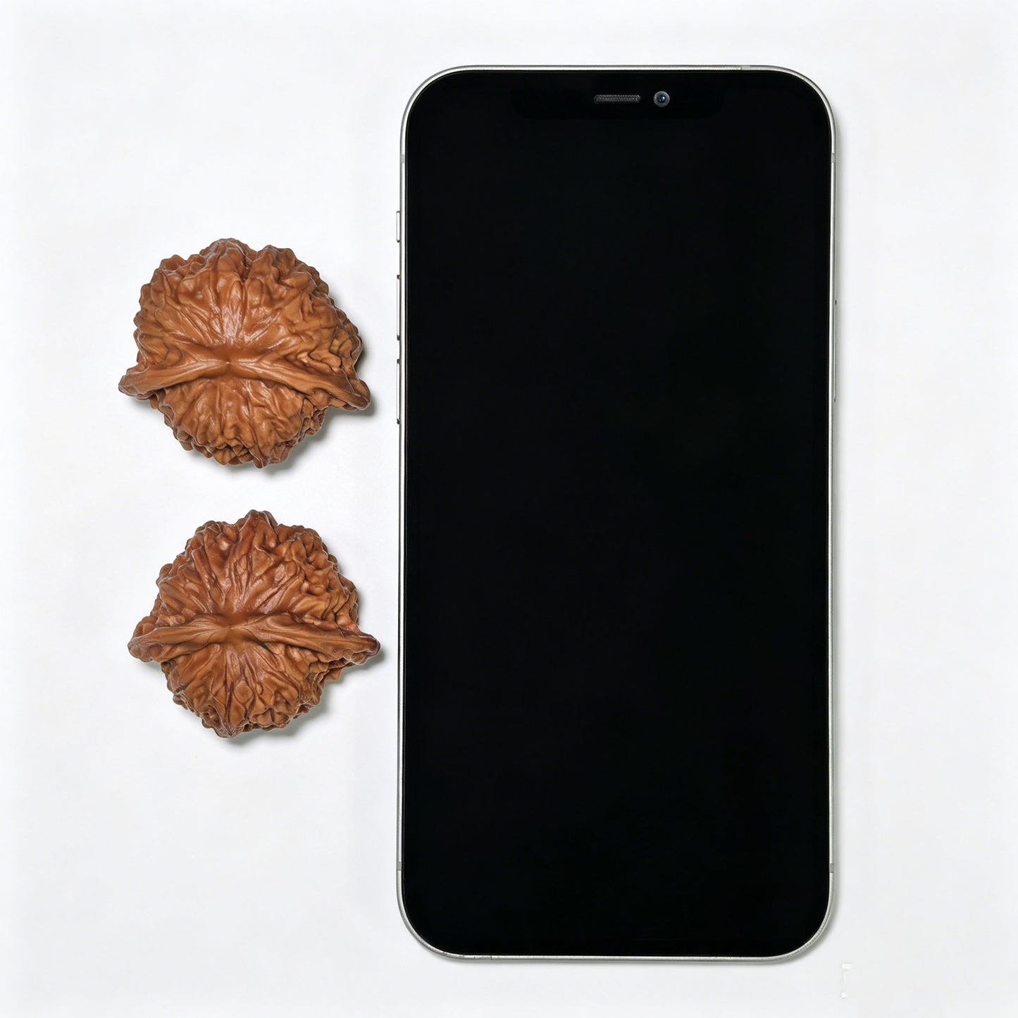 "Porcelain Doll Turtle Back" Cwwwgb-CG211E Wenwan Walnuts Pair | 40.0mm x 37.0mm | CWWWGB-CG211E