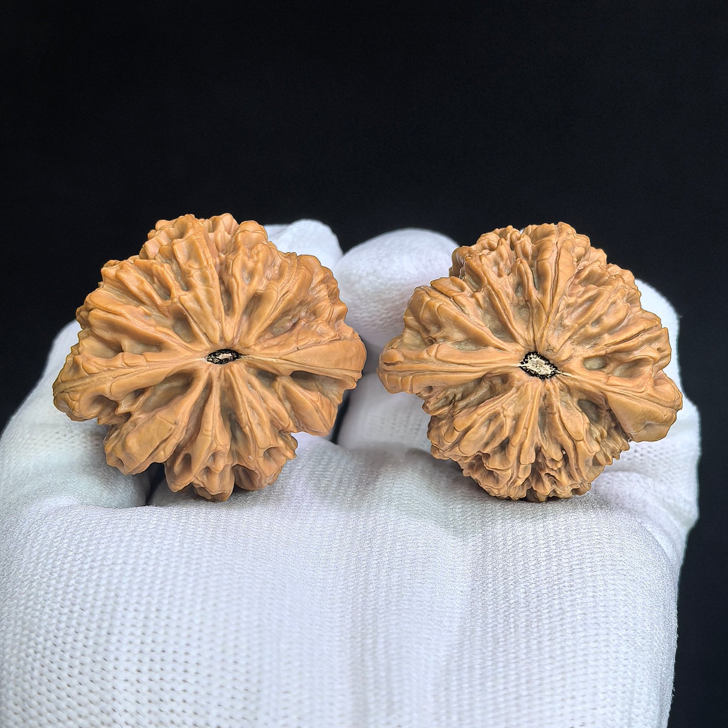 Triangle "Blizzard Turtle-Back" (Bao Xue Sanjiao Gui Bei) Scholar Walnuts Pair | 42.0mm x 39.0mm | Classic Low-Profile Silhouette | Collector Grade Masterpiece | Stock ID: BX-SY1E9